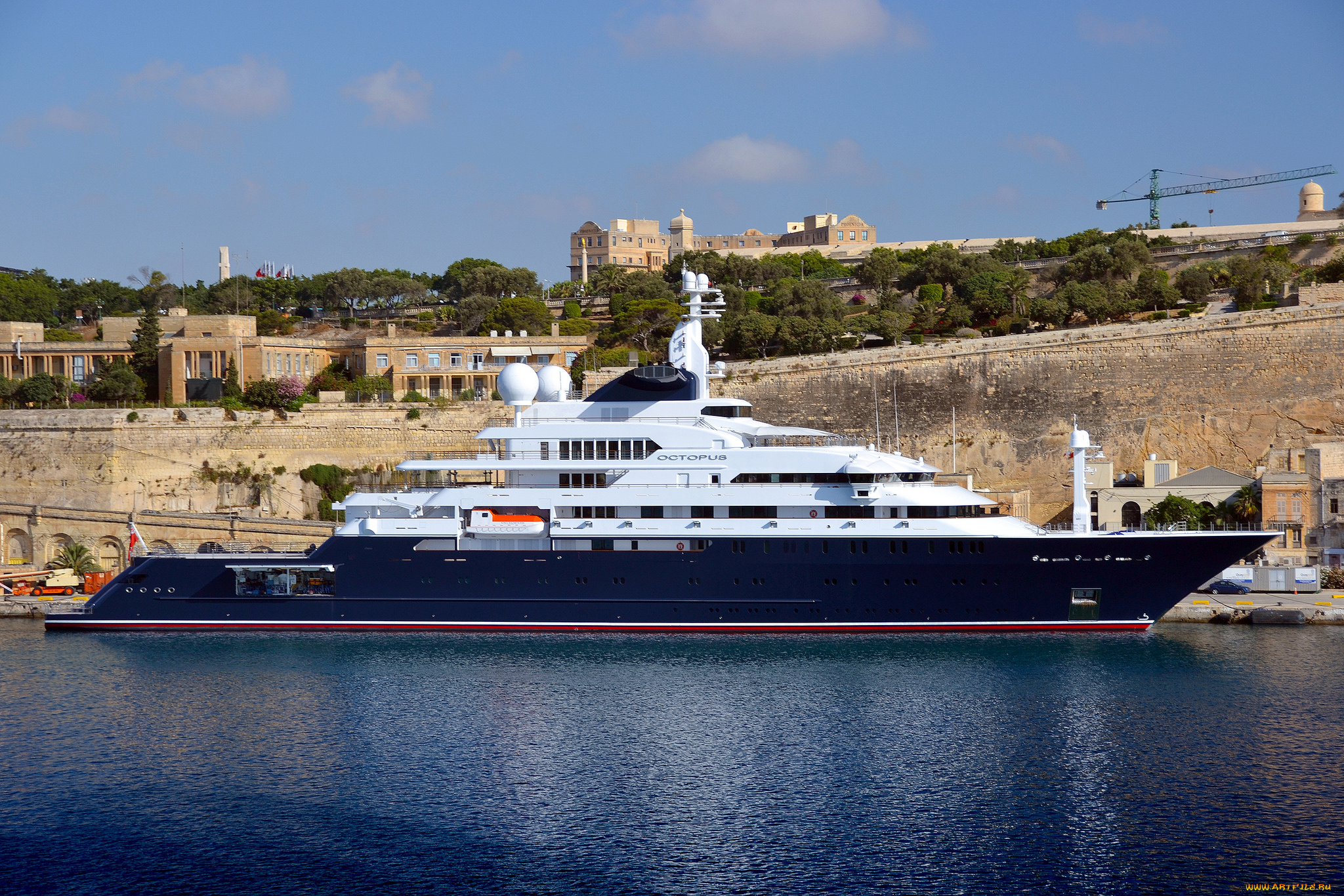 octopus, корабли, Яхты, яхта