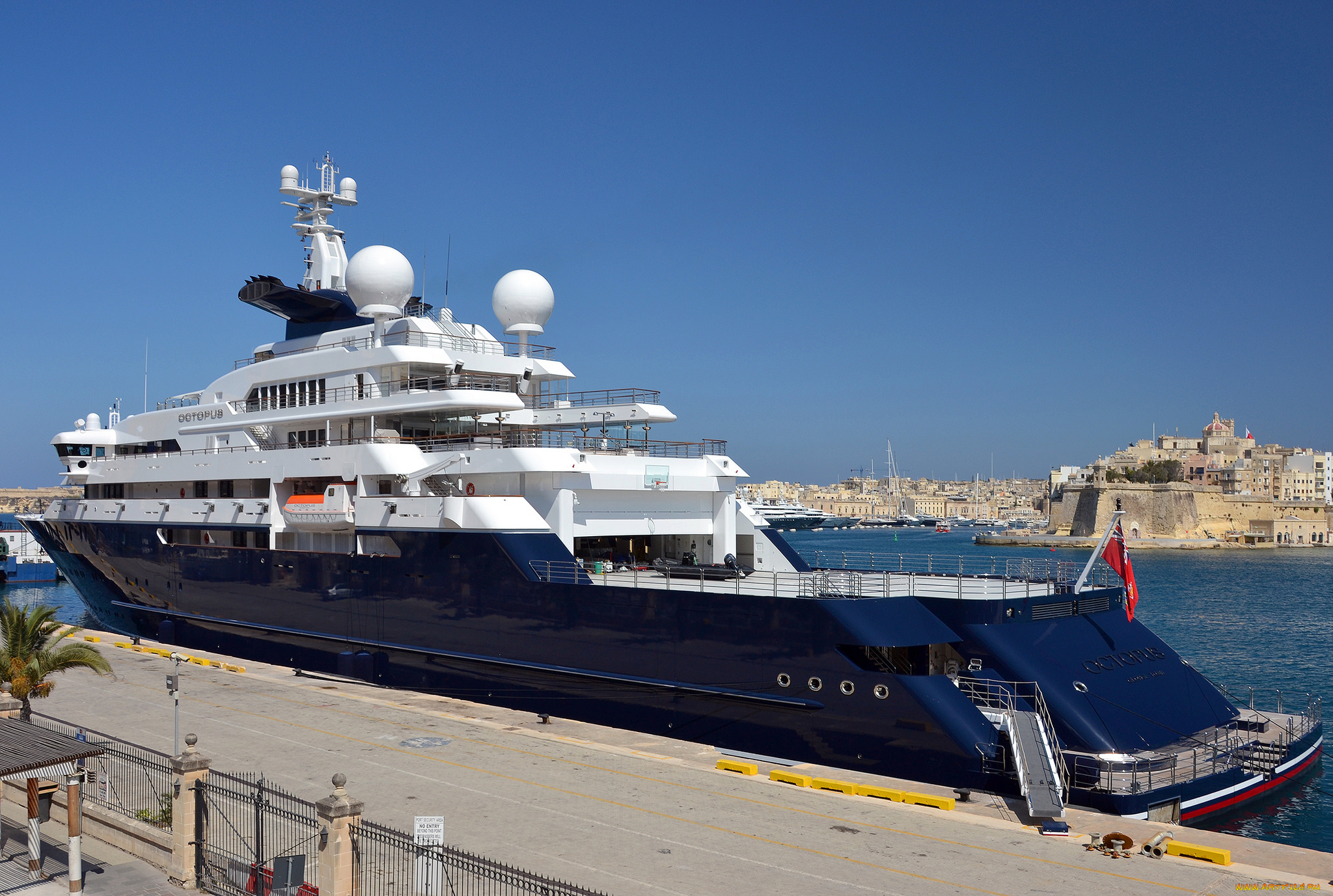 octopus, корабли, Яхты, яхта