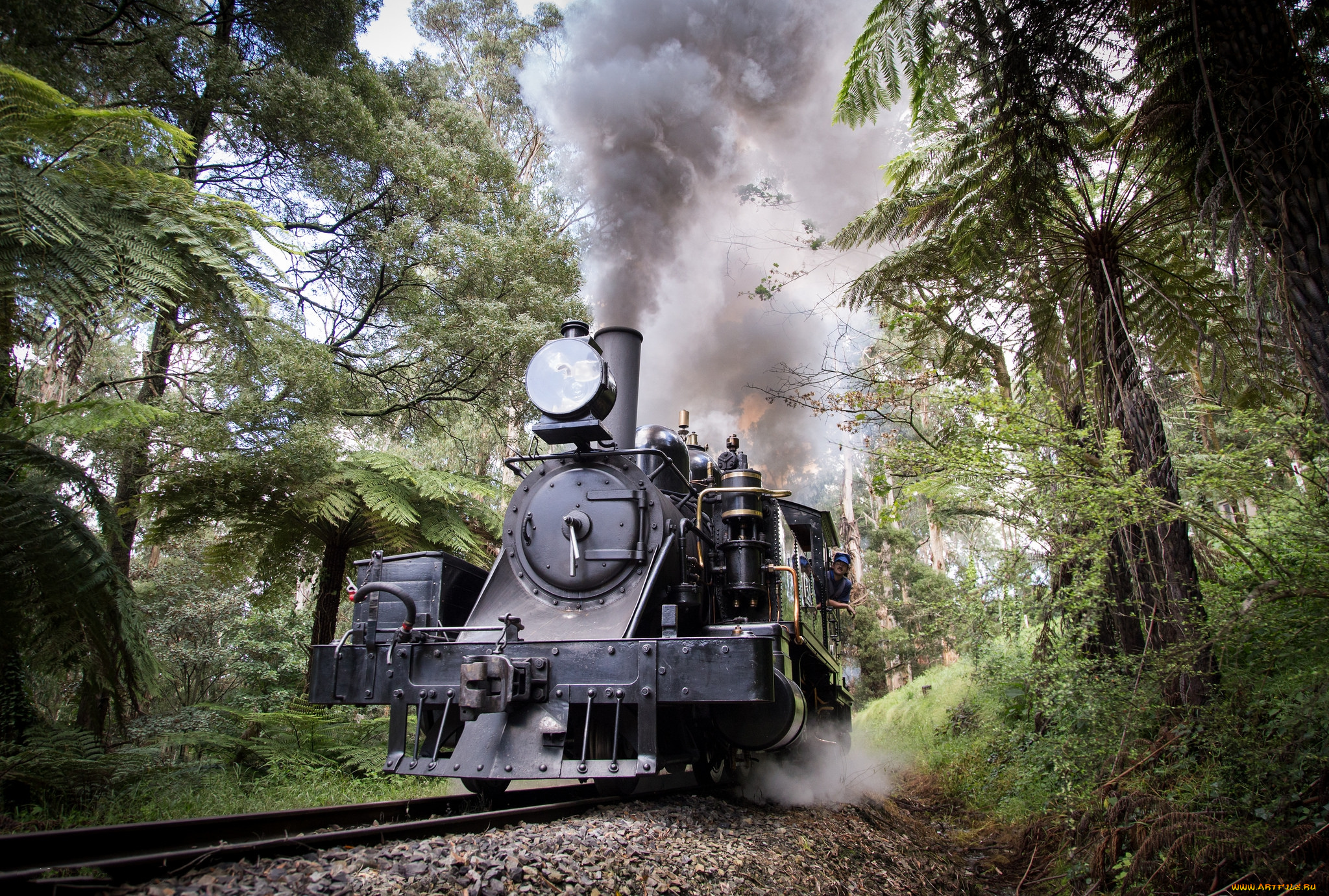 техника, паровозы, железная, дорога, рельсы, паровоз