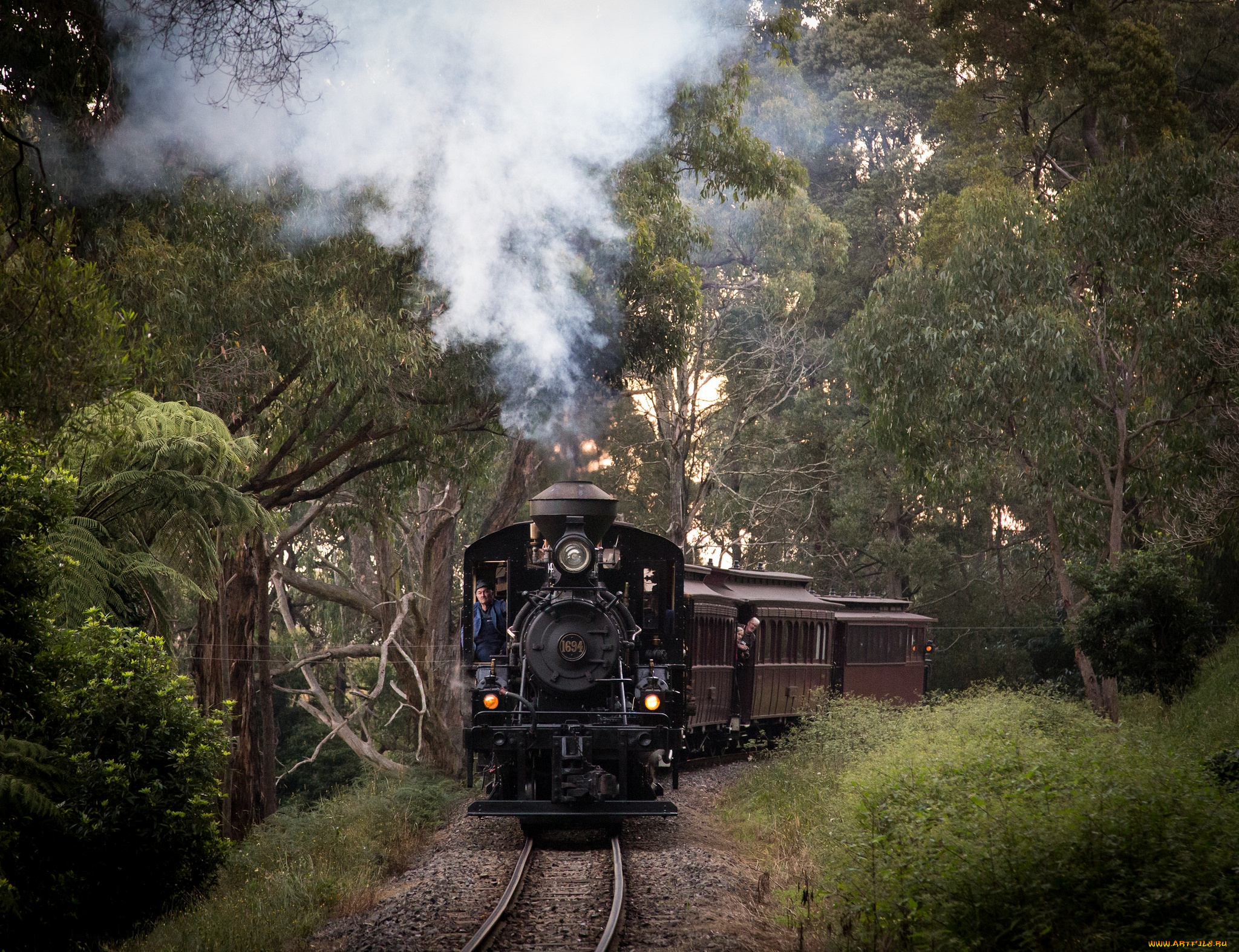 техника, паровозы, железная, дорога, рельсы, паровоз