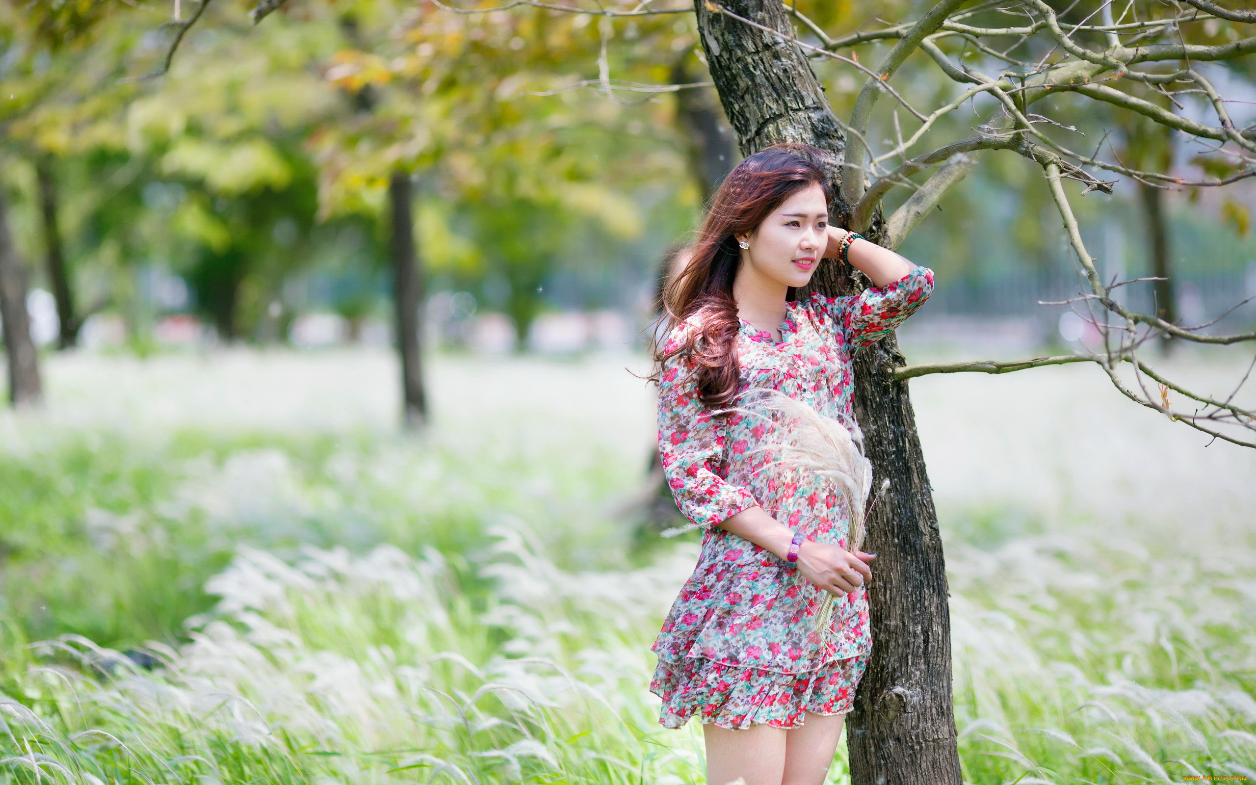 девушки, -unsort, , азиатки, девушка, азиатка, природа