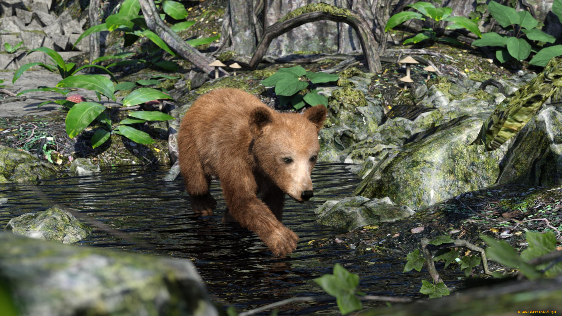 3д, графика, животные, , animals, медвежонок, фон