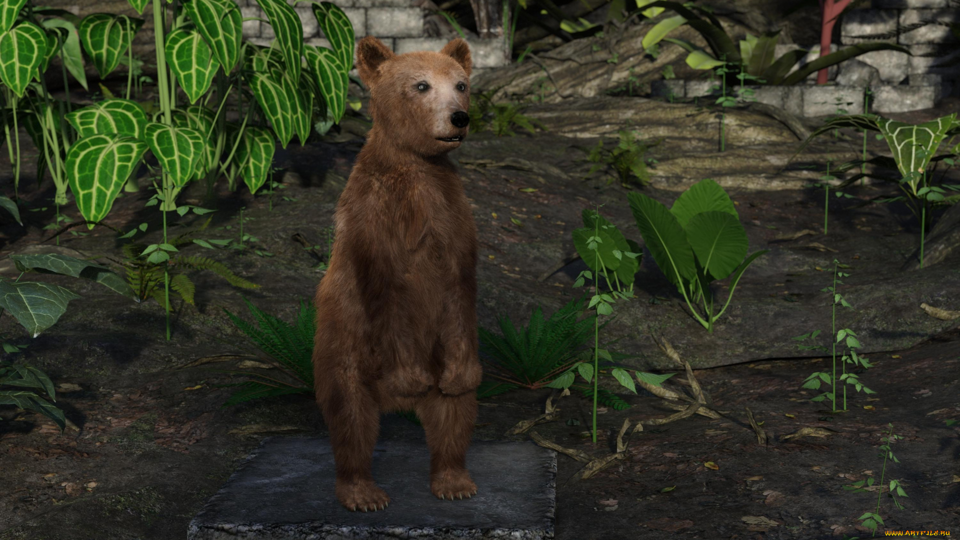 3д, графика, животные, , animals, медвежонок, фон