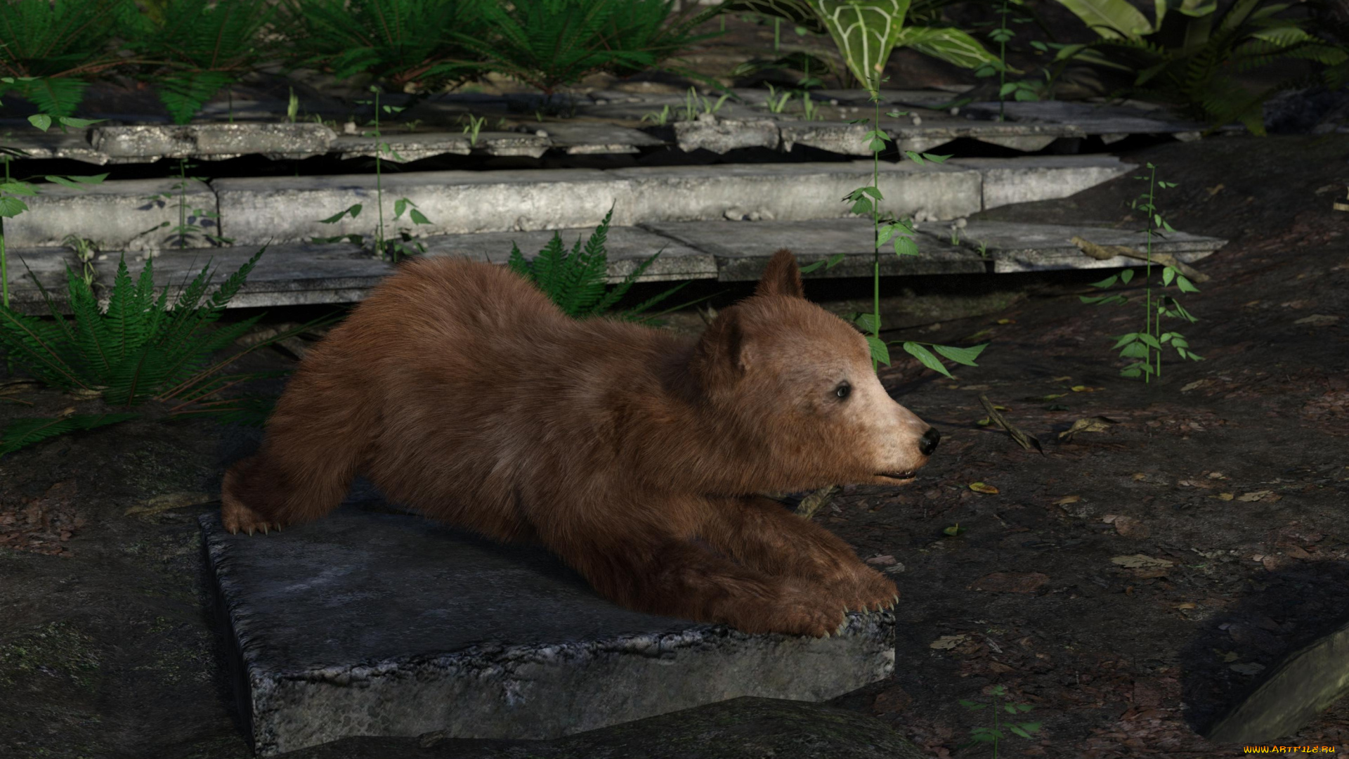 3д, графика, животные, , animals, медвежонок, фон