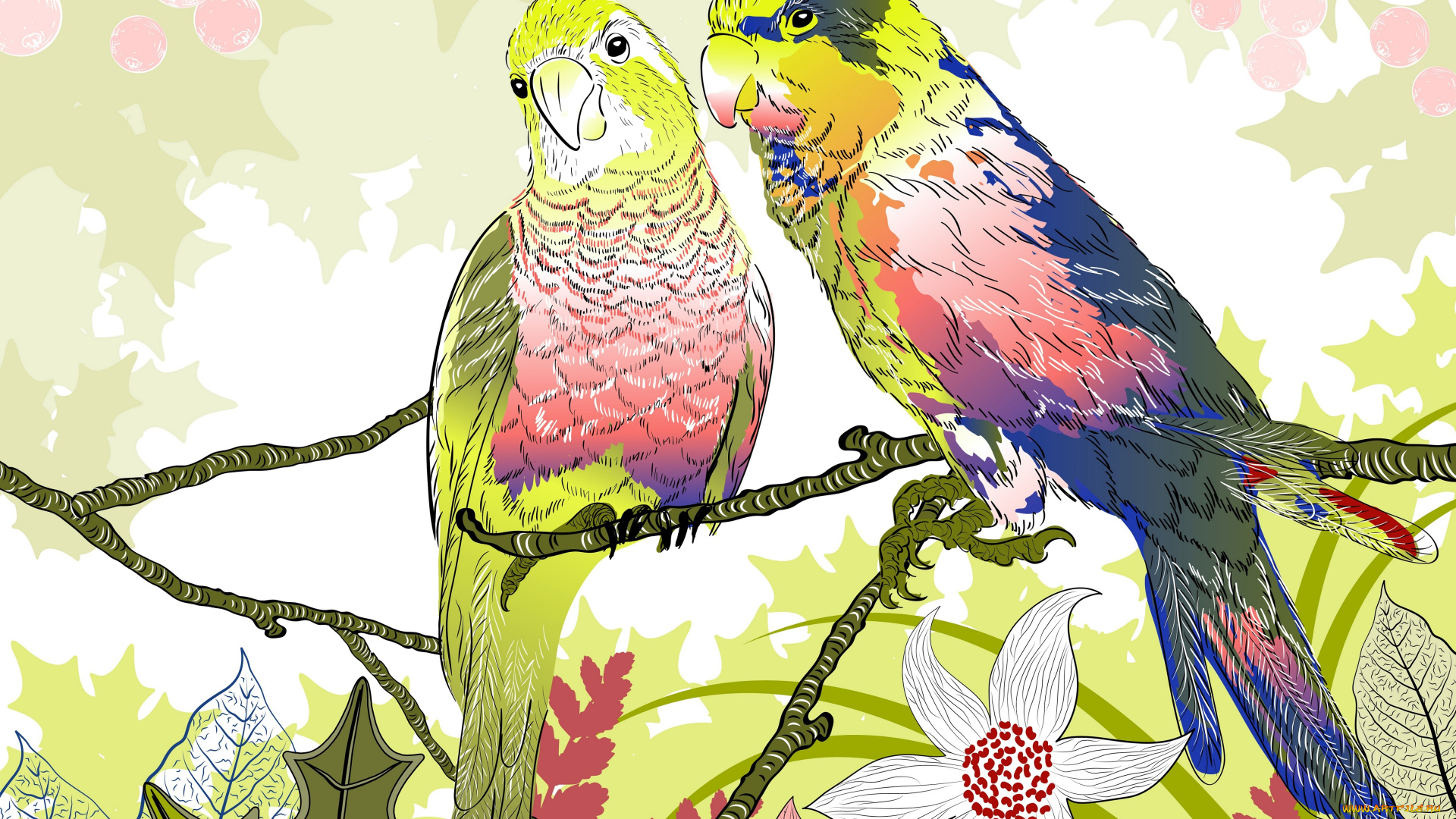 векторная, графика, птицы, , птицы, попугаи, веточки, цветы, природа