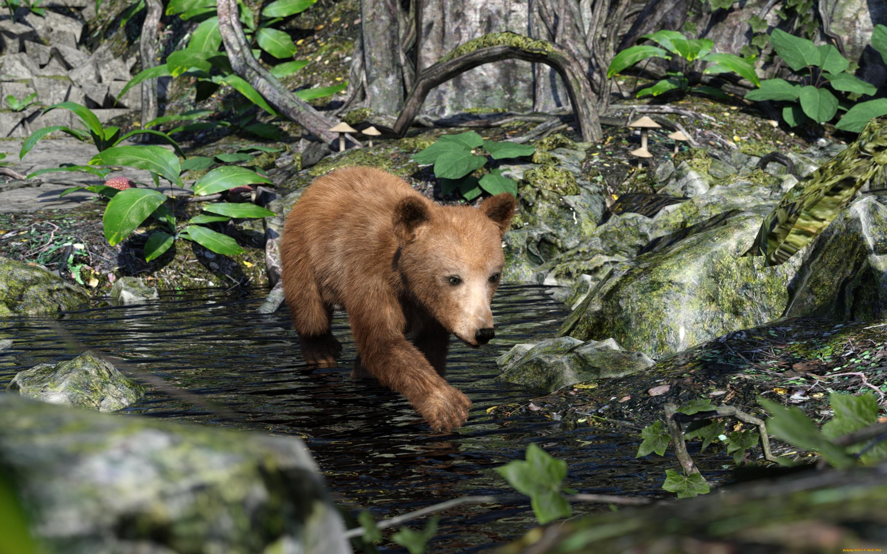 3д, графика, животные, , animals, медвежонок, фон