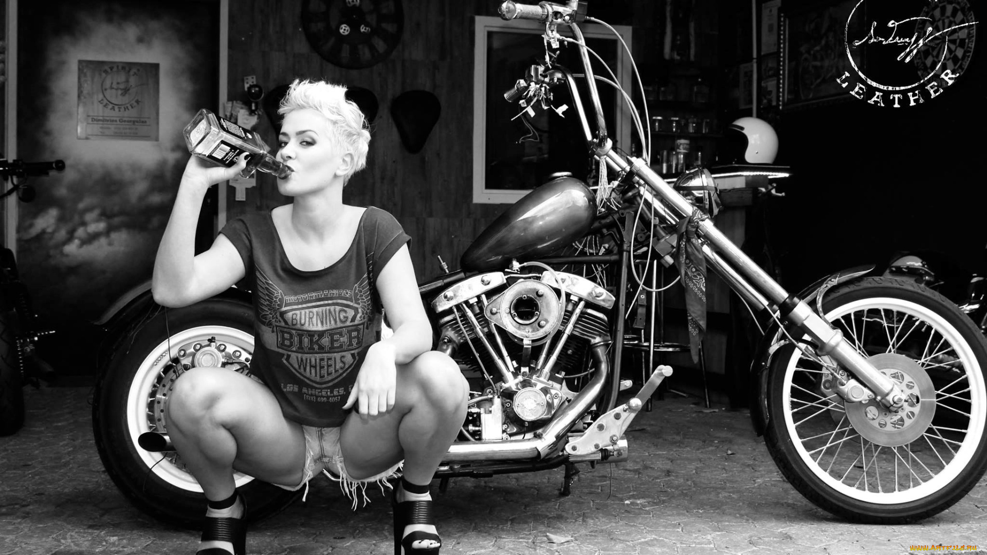 мотоциклы, мото, с, девушкой, байк, бутылка, девушка, виски