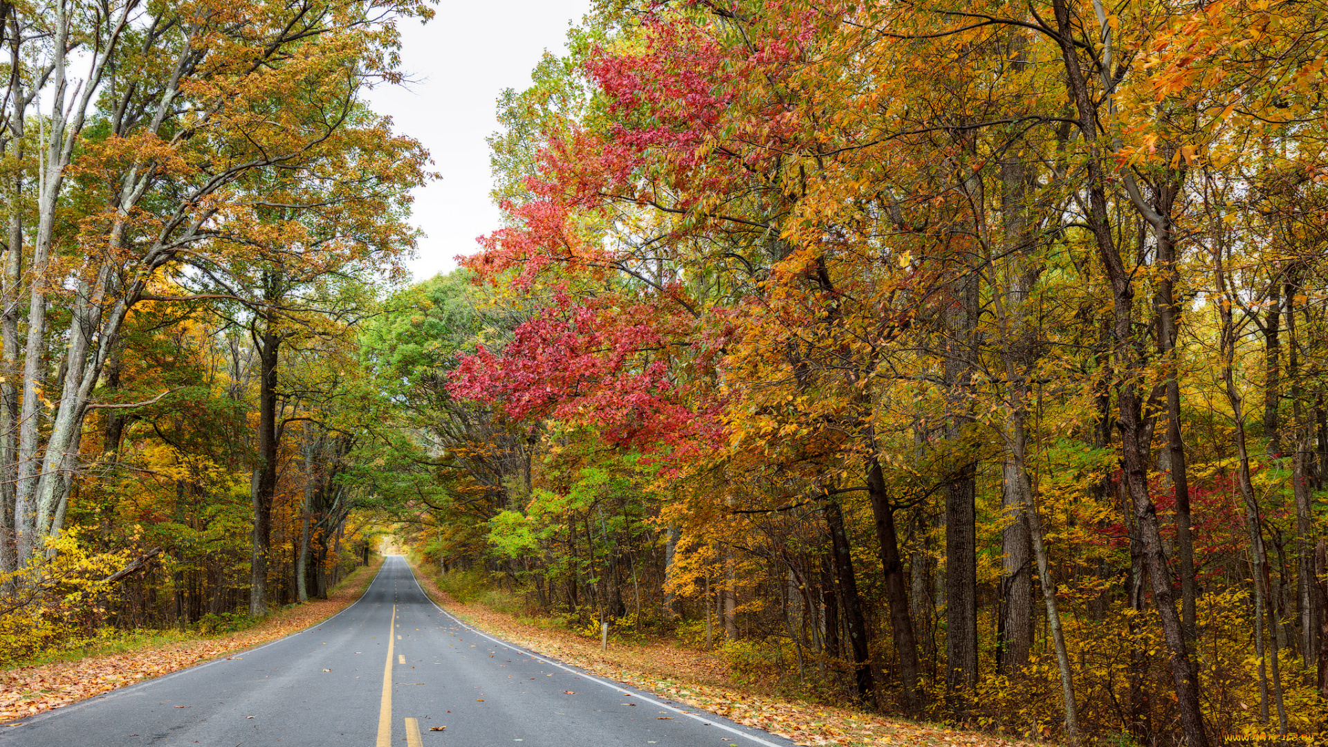 природа, дороги, тракт