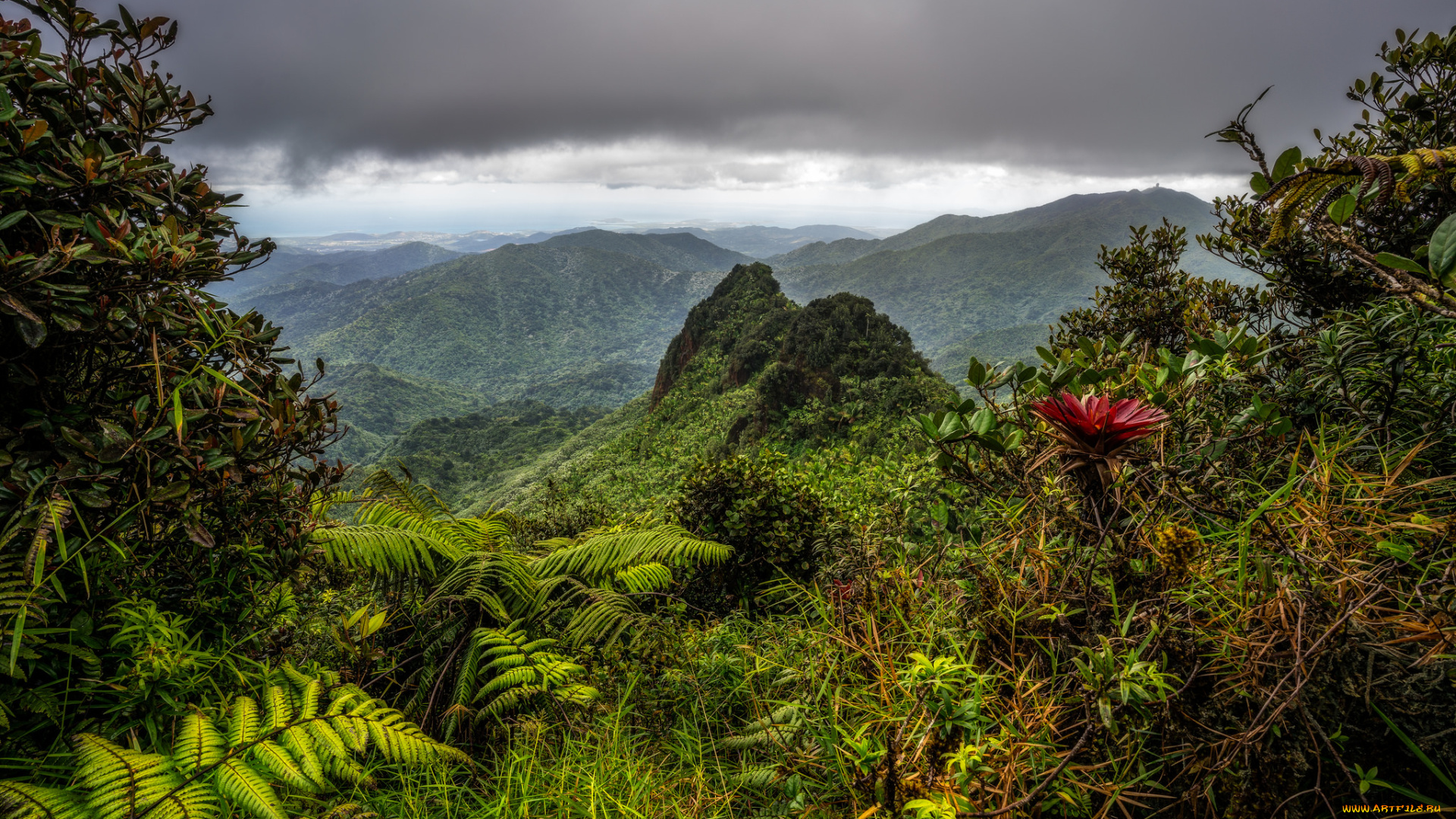 природа, горы, море, берег