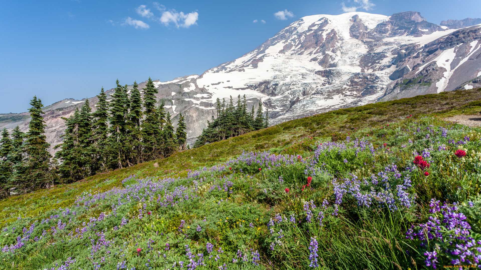 природа, горы, простор