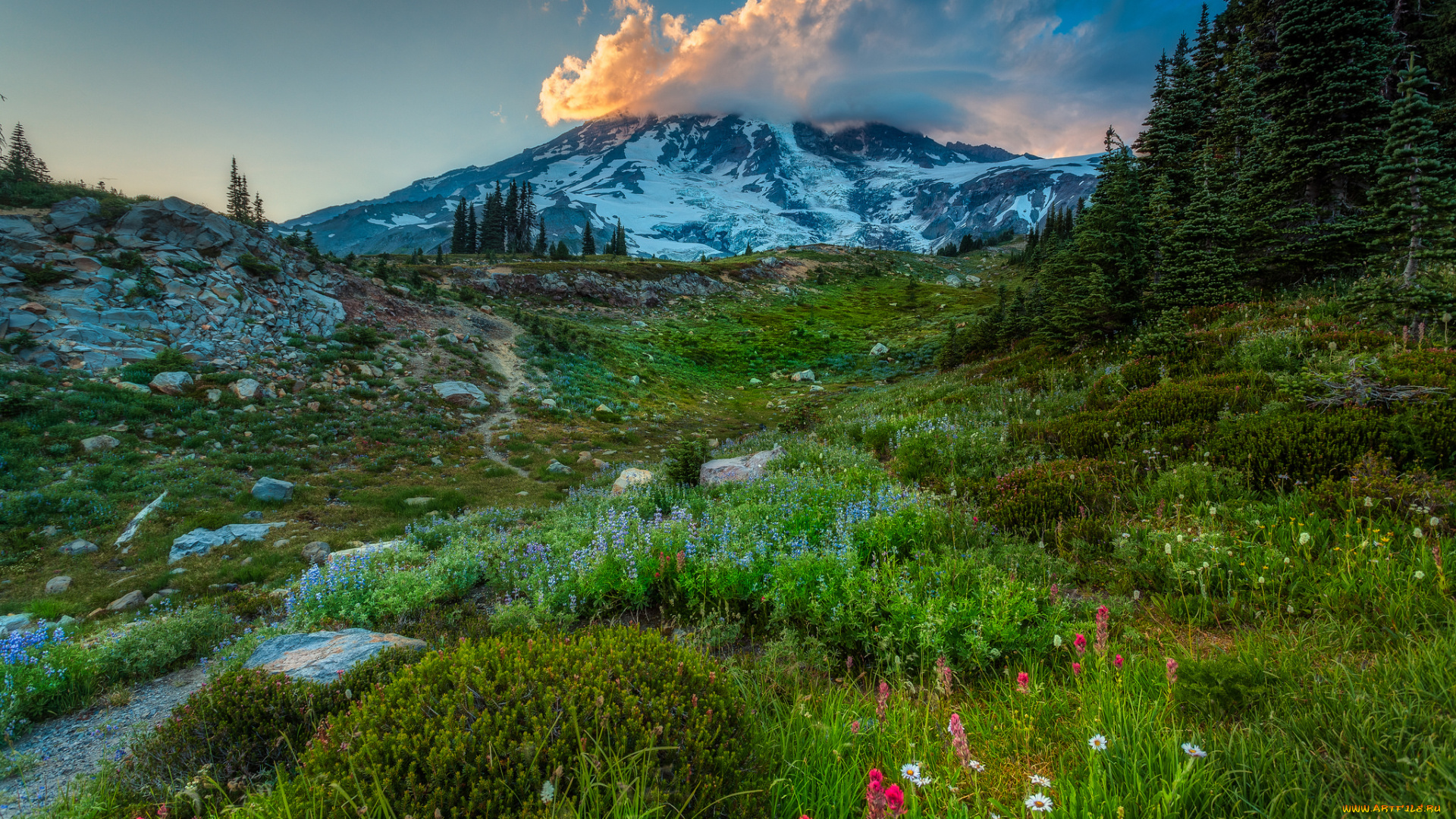 природа, горы, простор