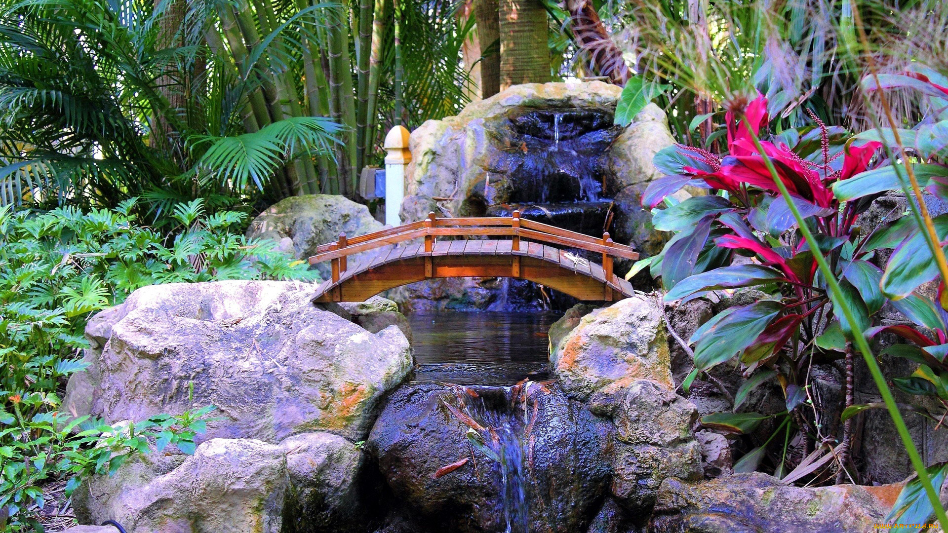 природа, парк, японский, сад