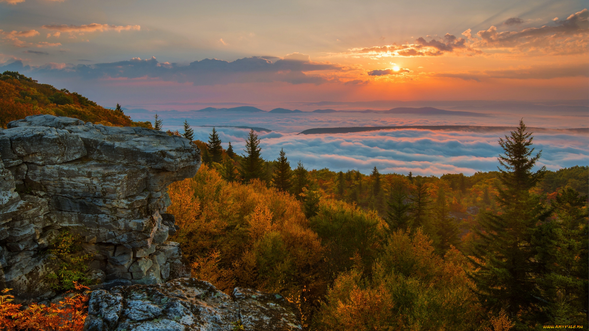 природа, пейзажи, рассвет