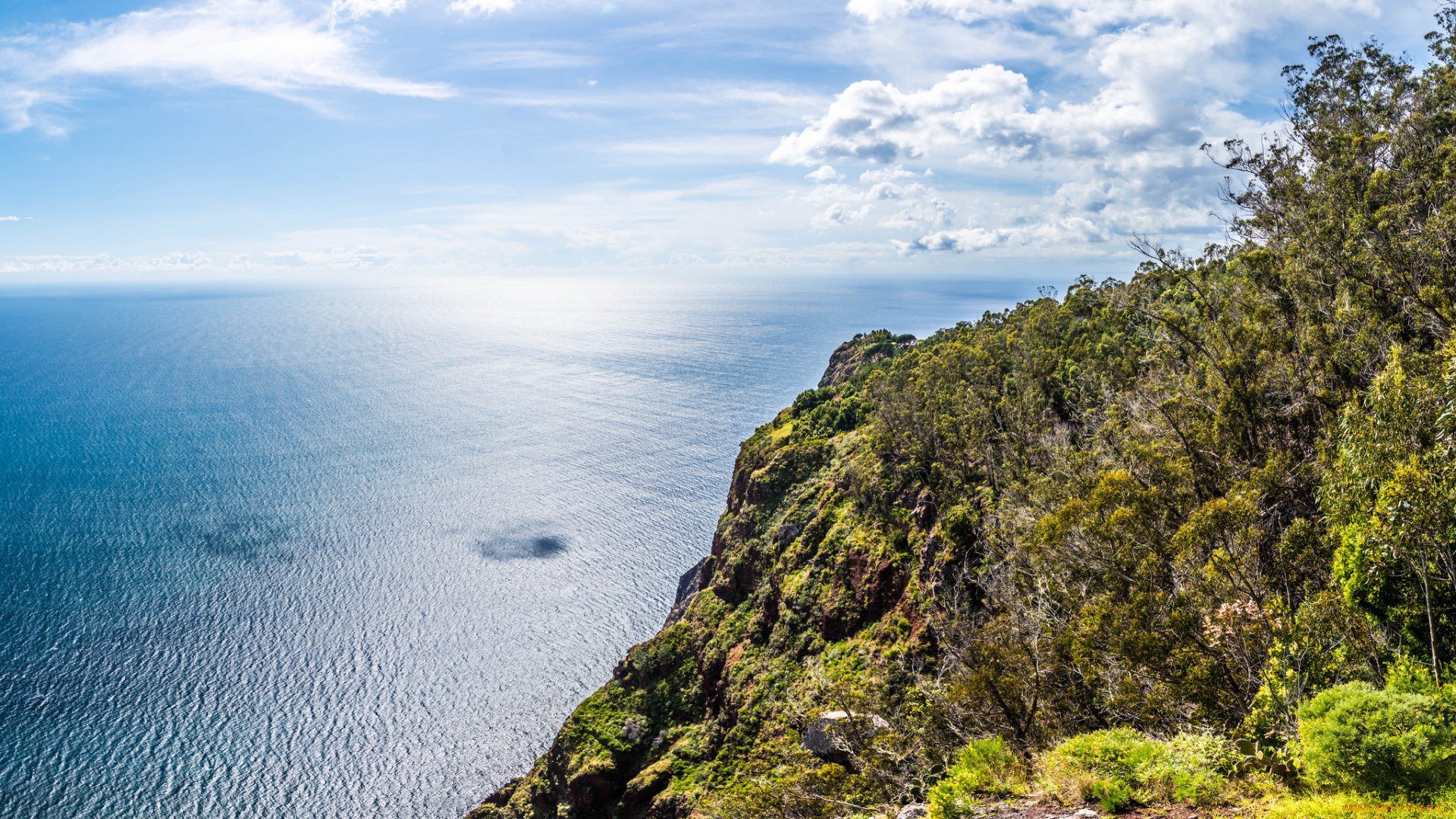природа, побережье, море, берег