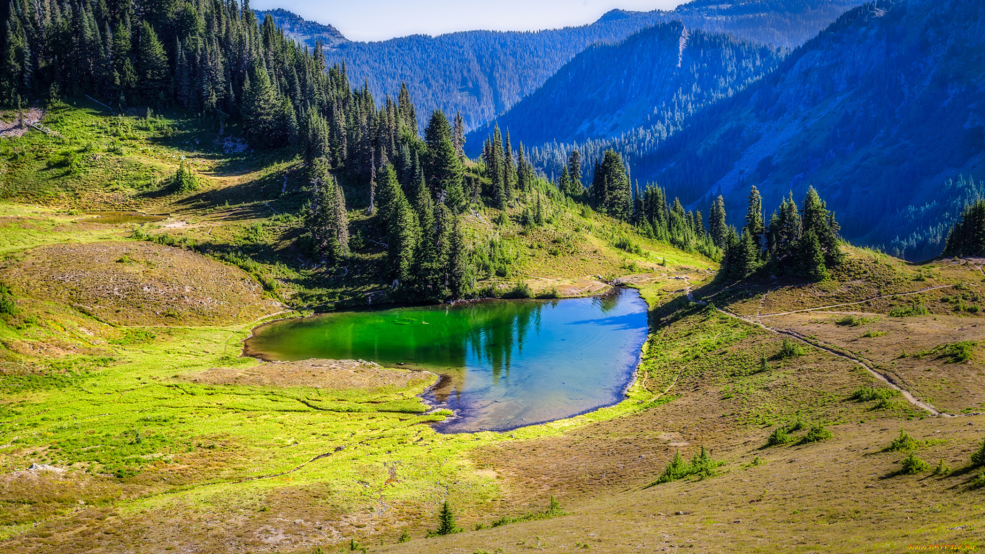 природа, реки, озера, лес, река