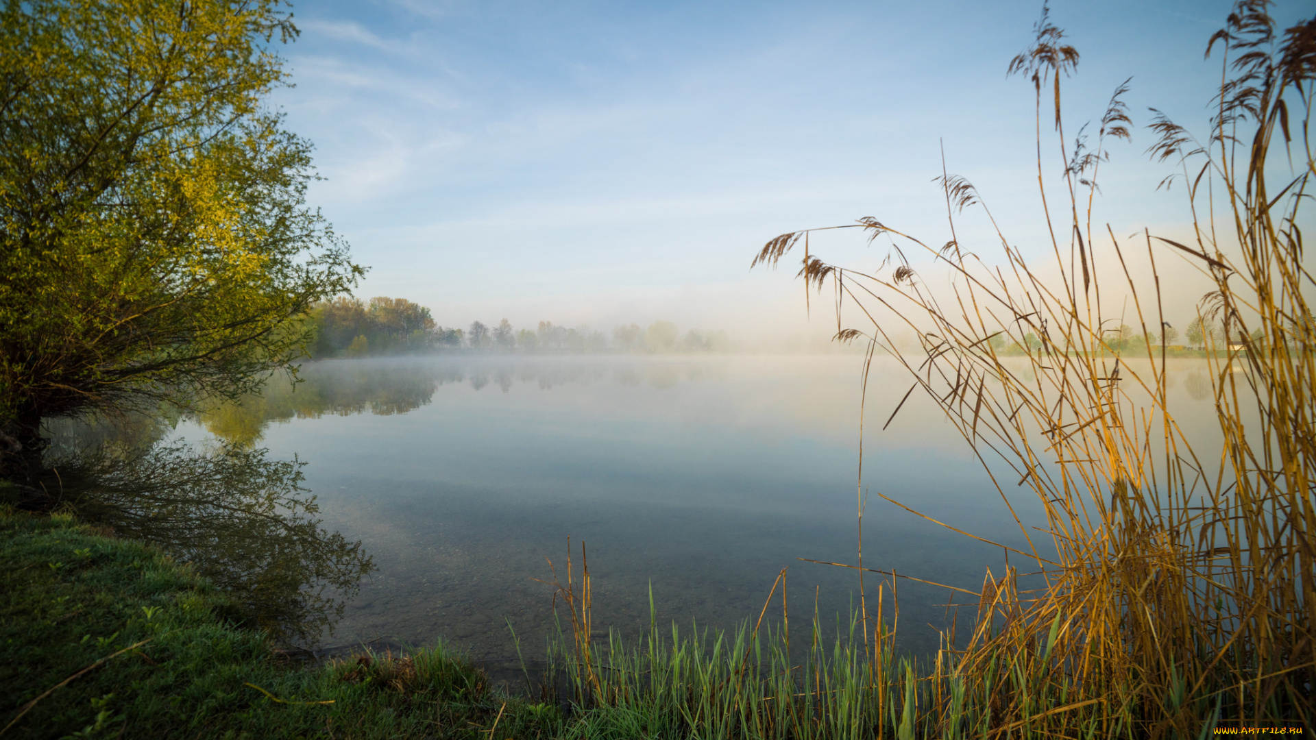природа, реки, озера, лес, река
