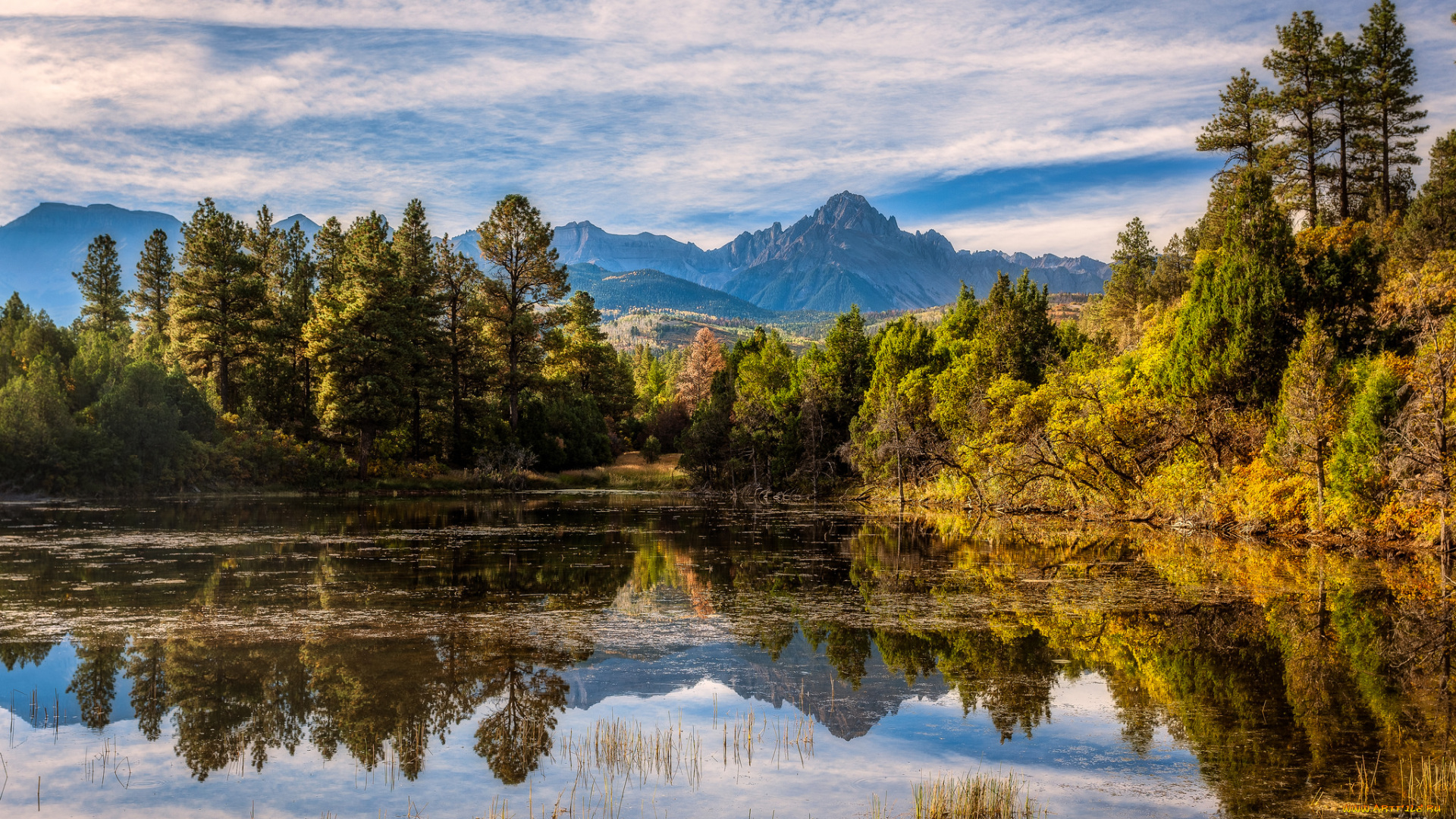 природа, реки, озера, лес, река