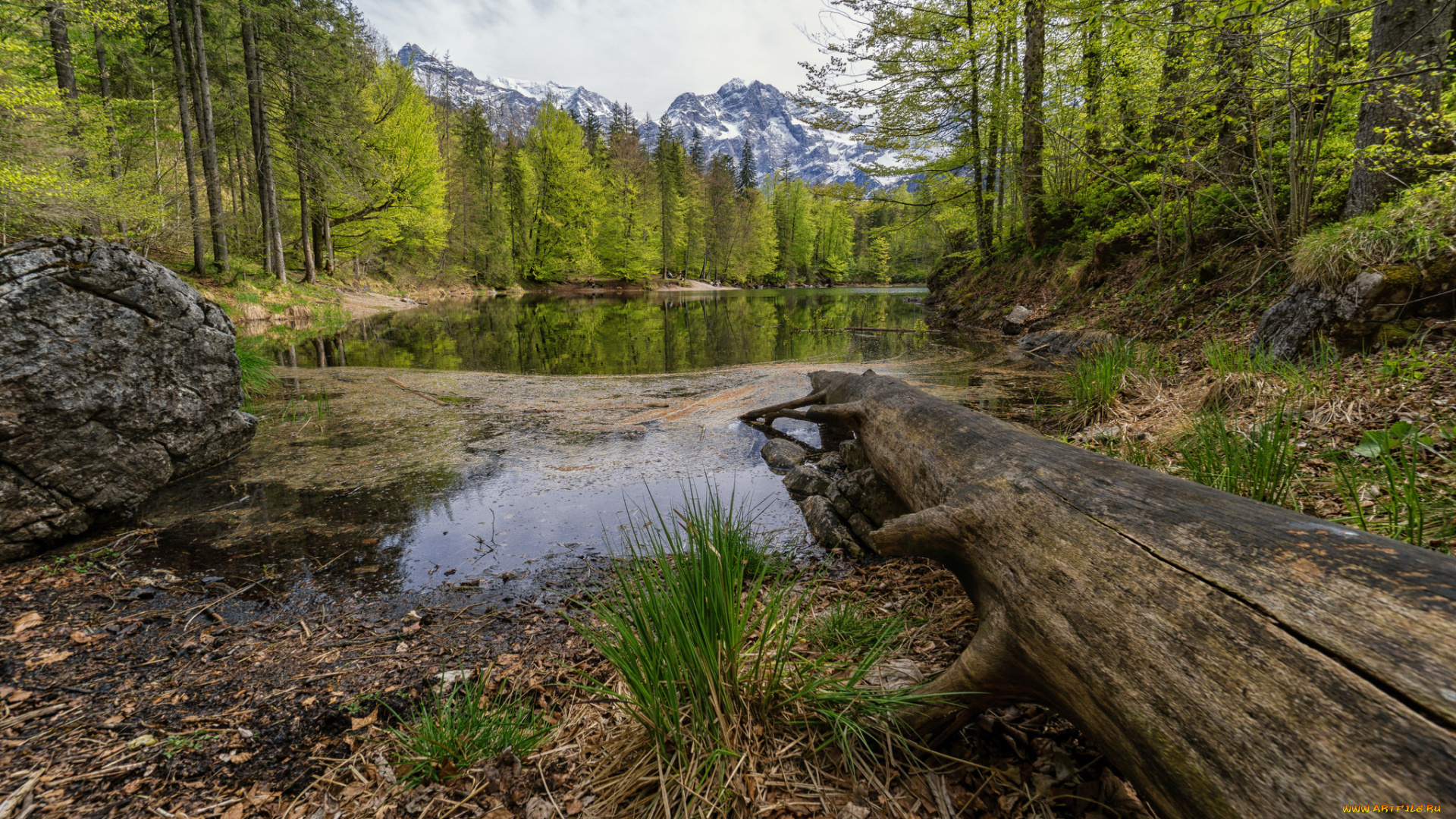 природа, реки, озера, лес, река