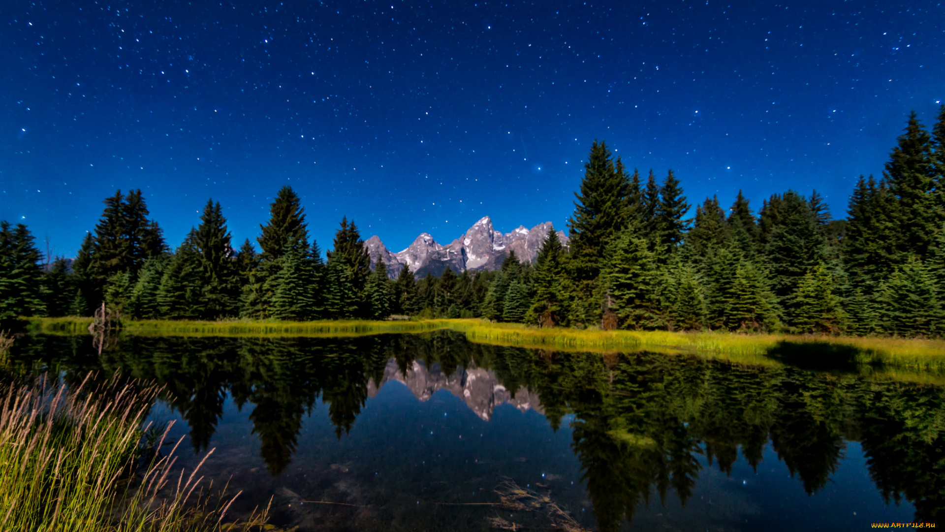 природа, реки, озера, лес, река