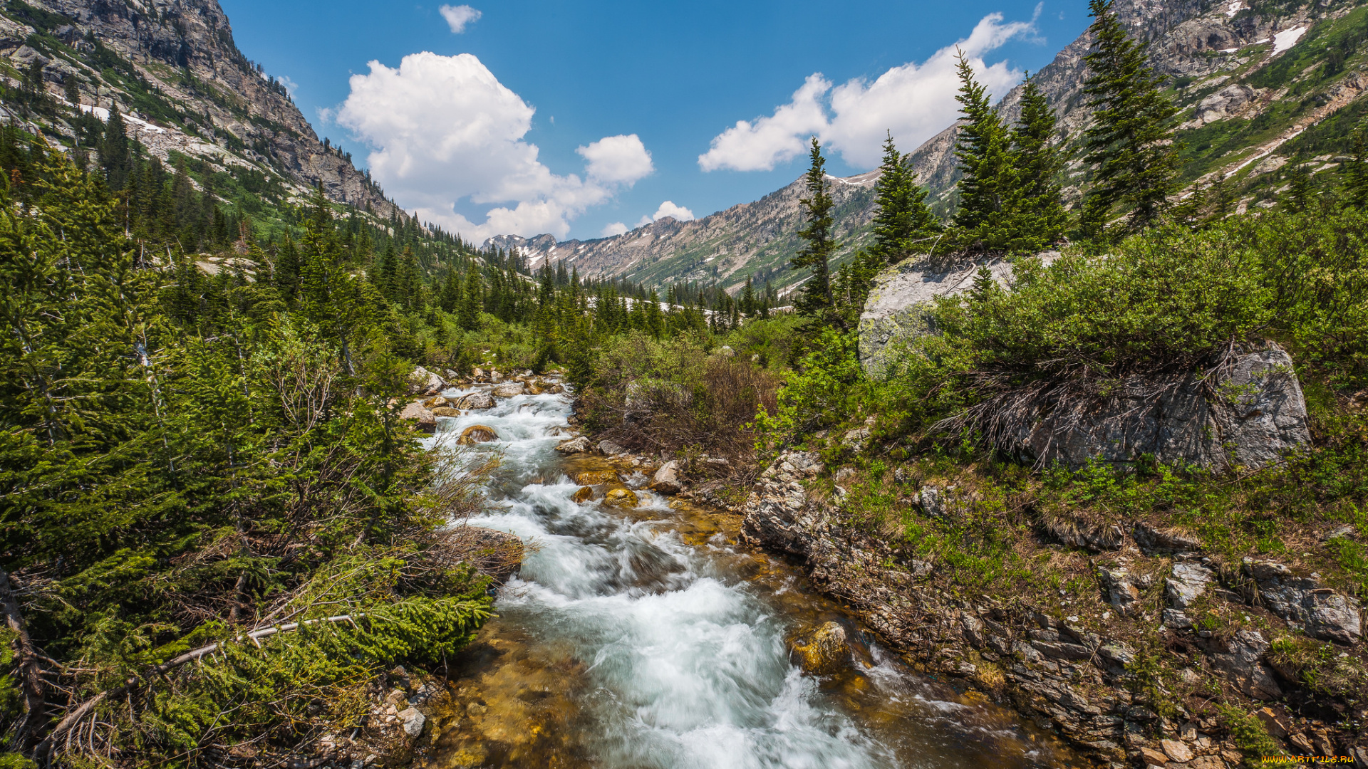 природа, реки, озера, река, лес