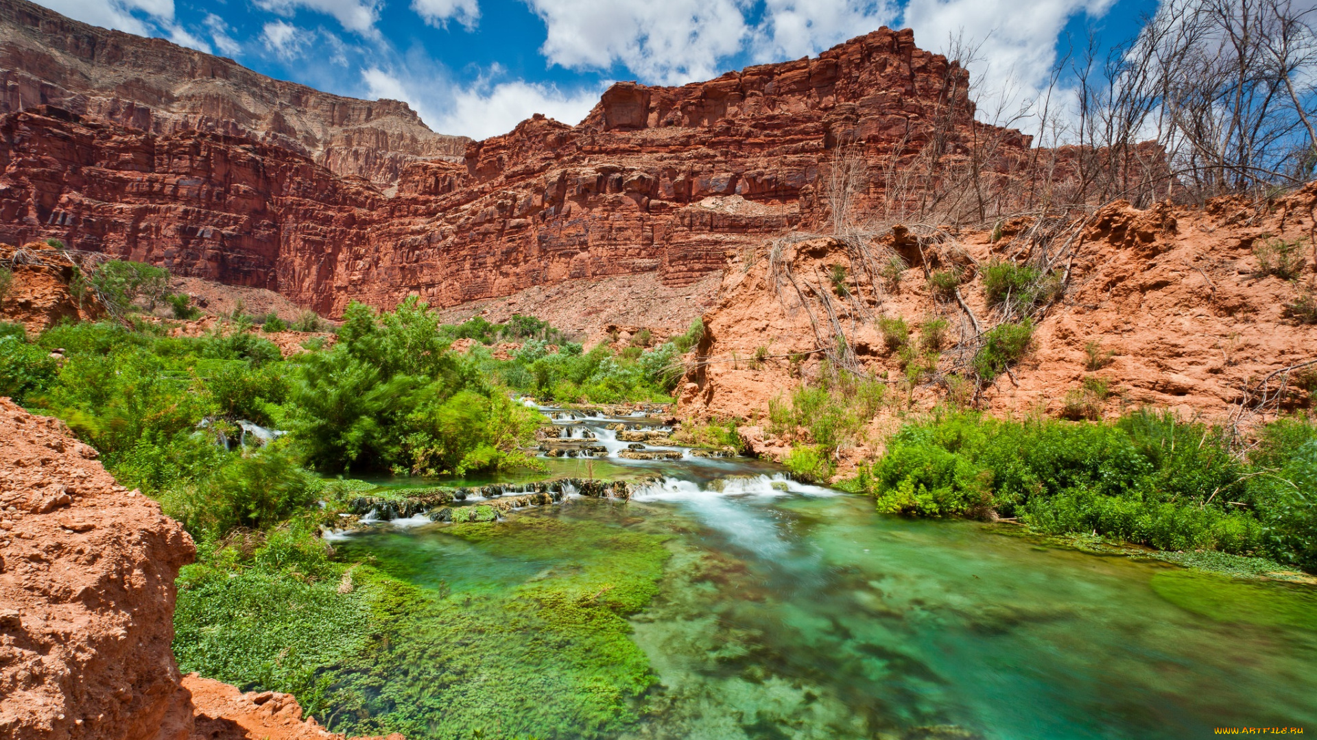 природа, реки, озера, река, лес