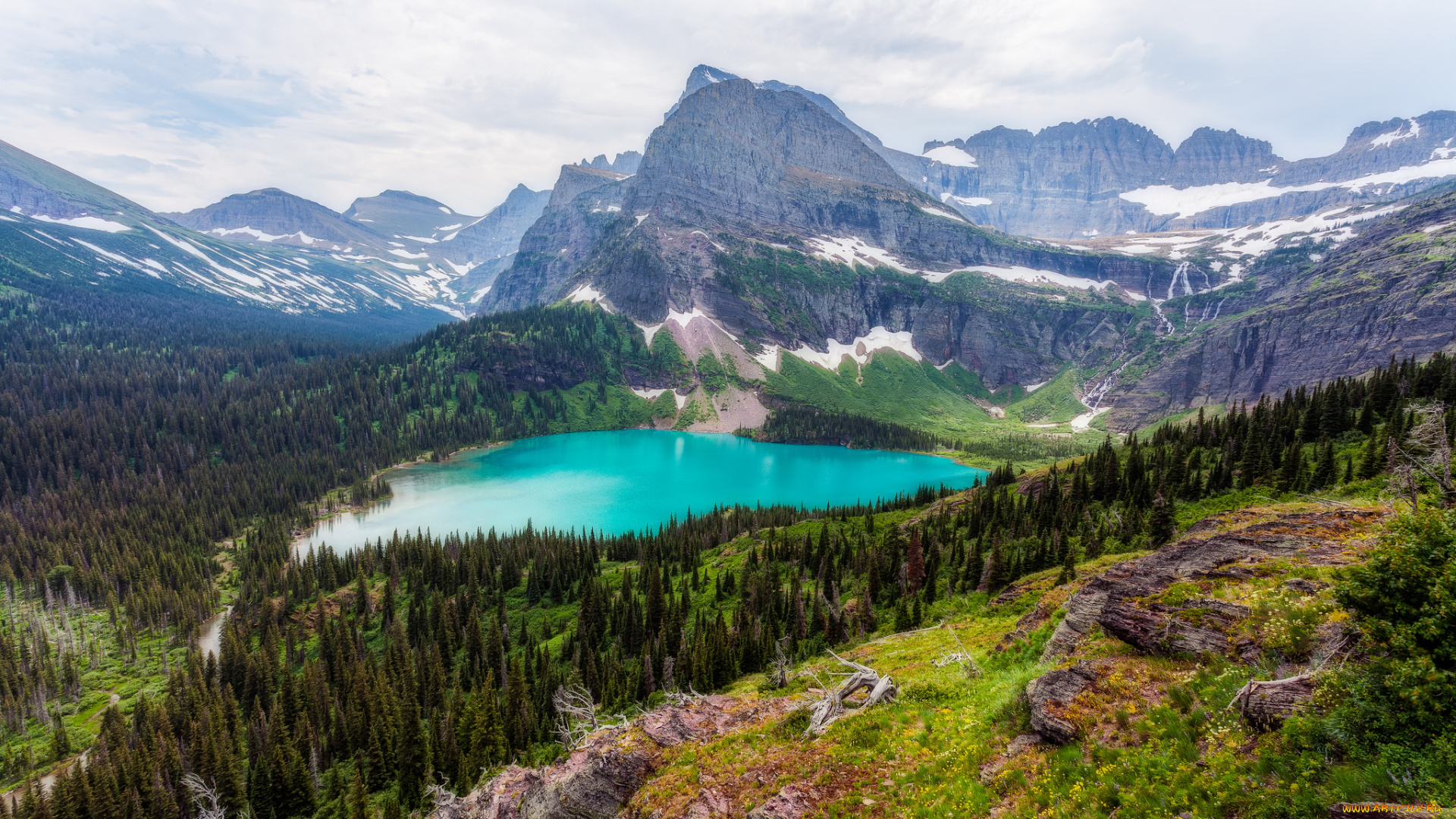 природа, реки, озера, река, лес