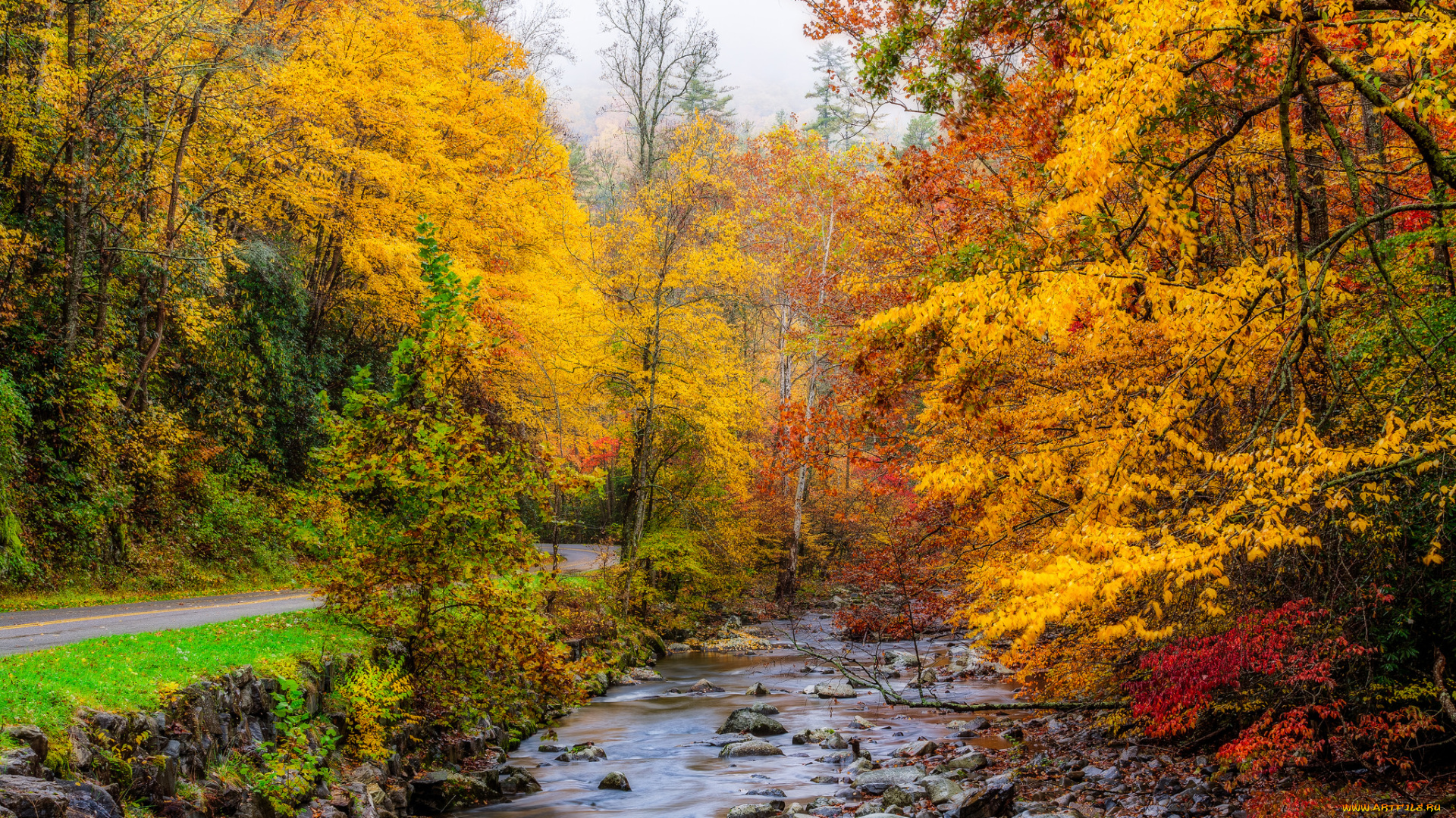 природа, реки, озера, река, лес