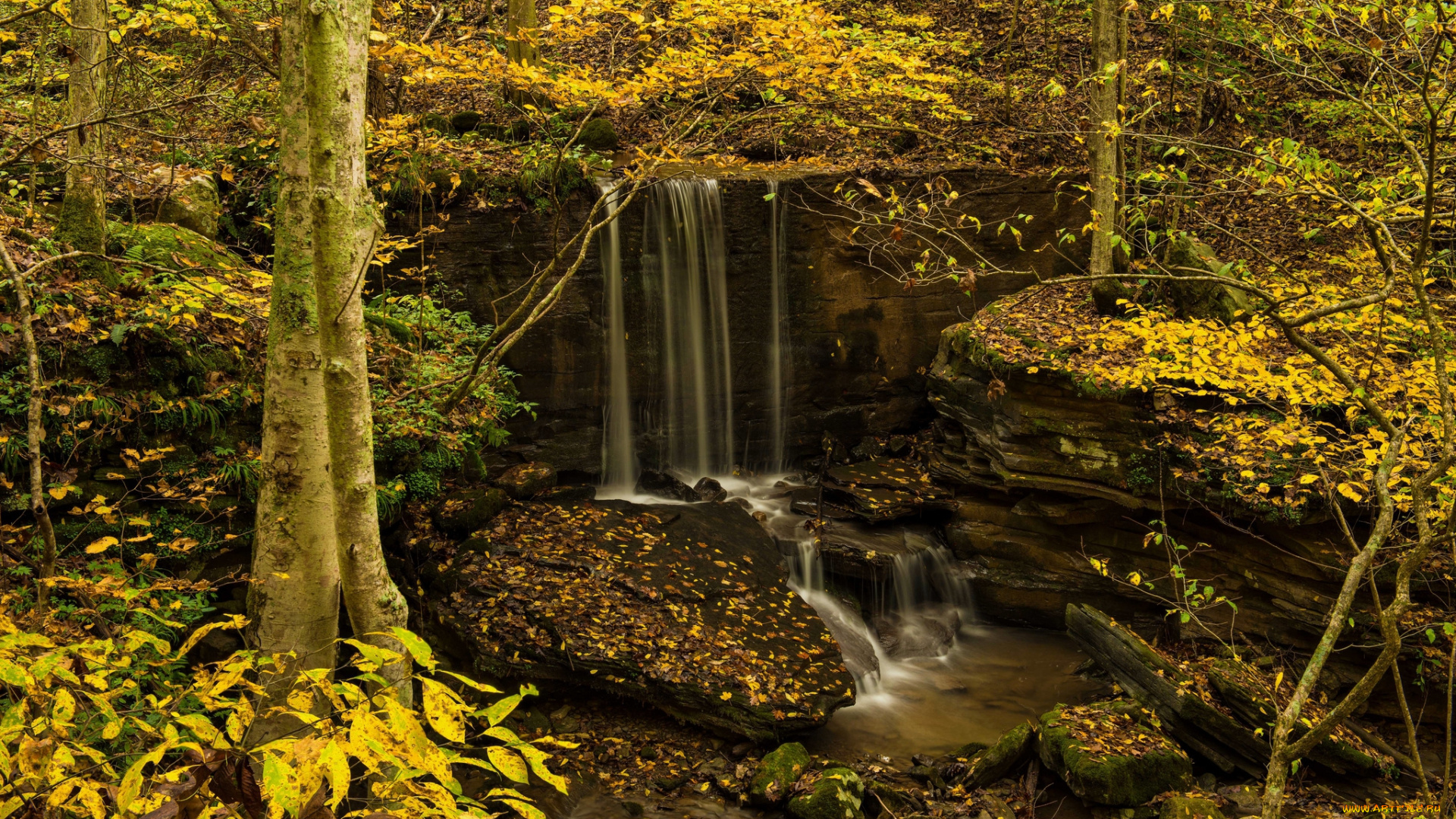 природа, водопады, лес, река, водопад