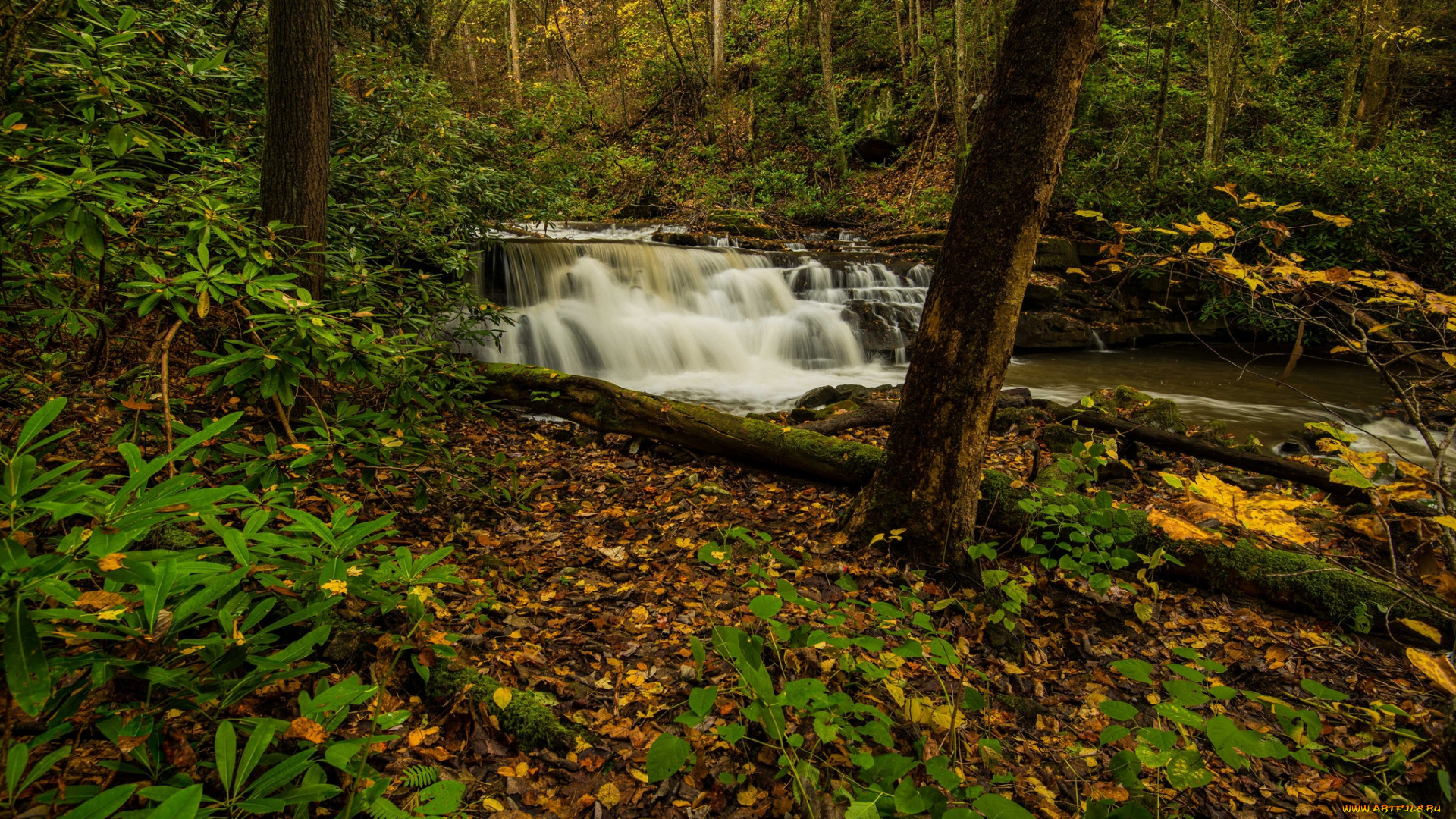 природа, водопады, водопад, река, лес