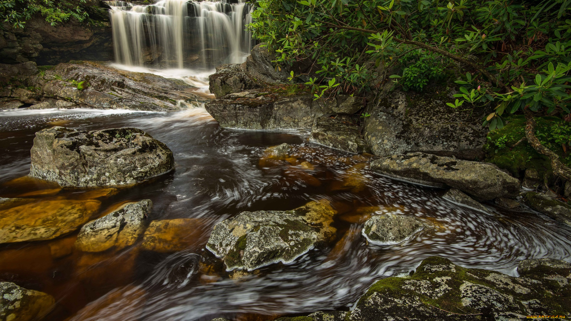 природа, водопады, водопад, река, лес