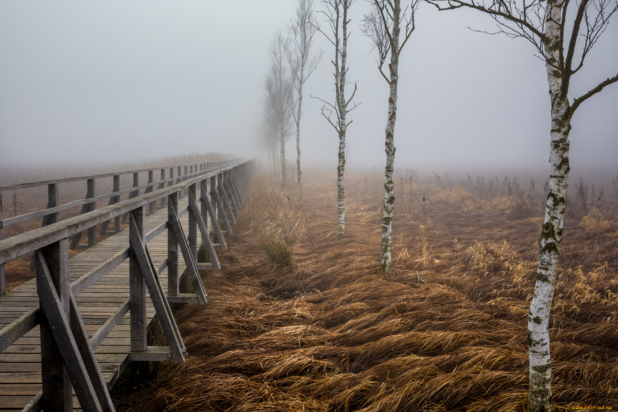 природа, дороги, тракт