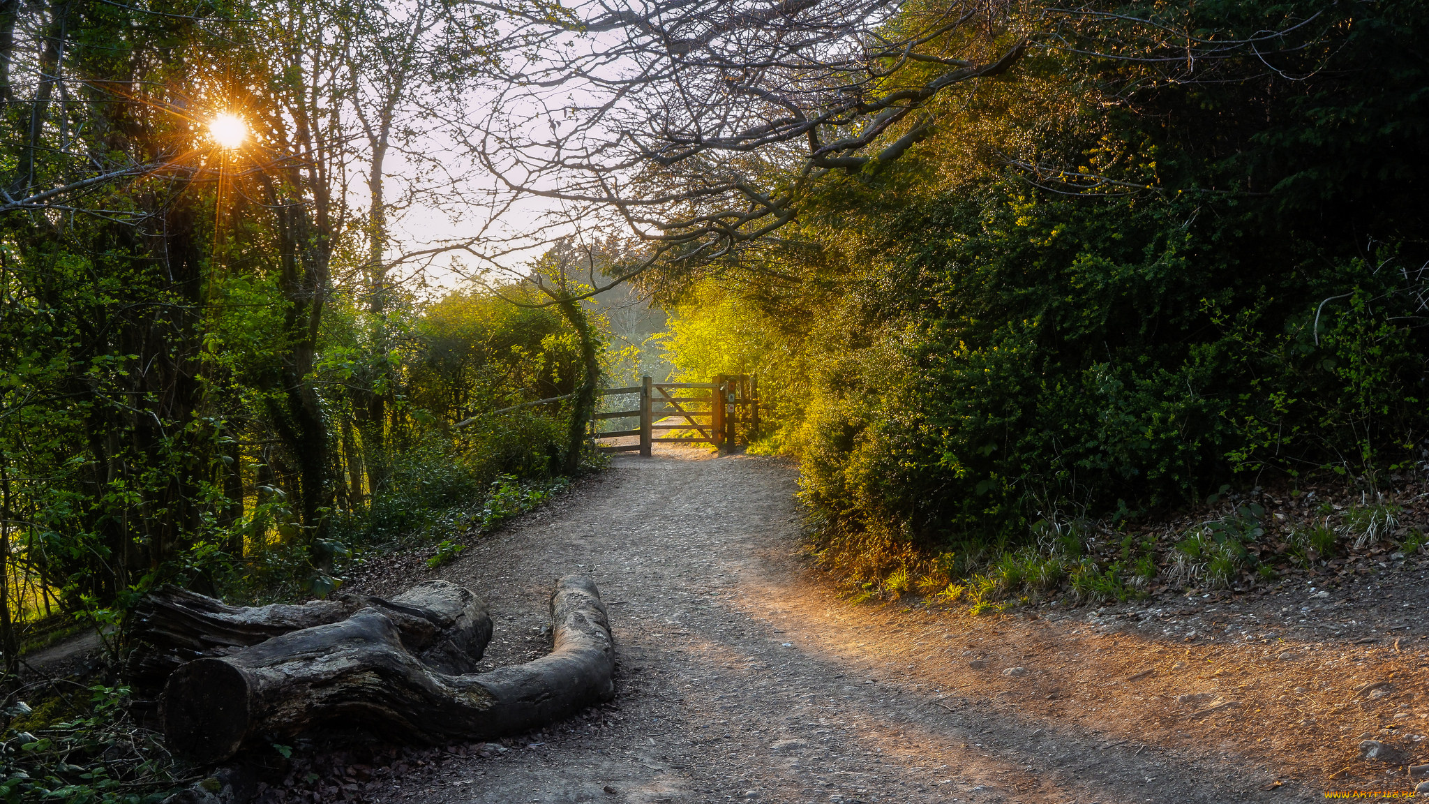 природа, дороги, тракт