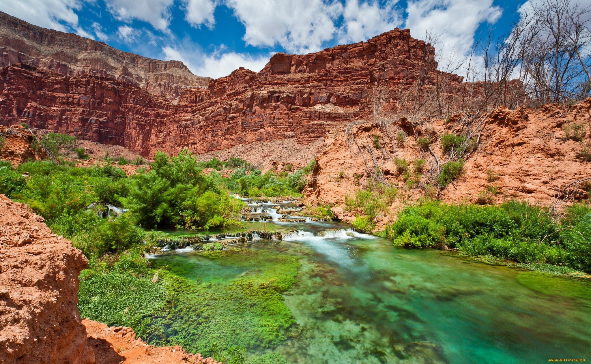 природа, реки, озера, река, лес