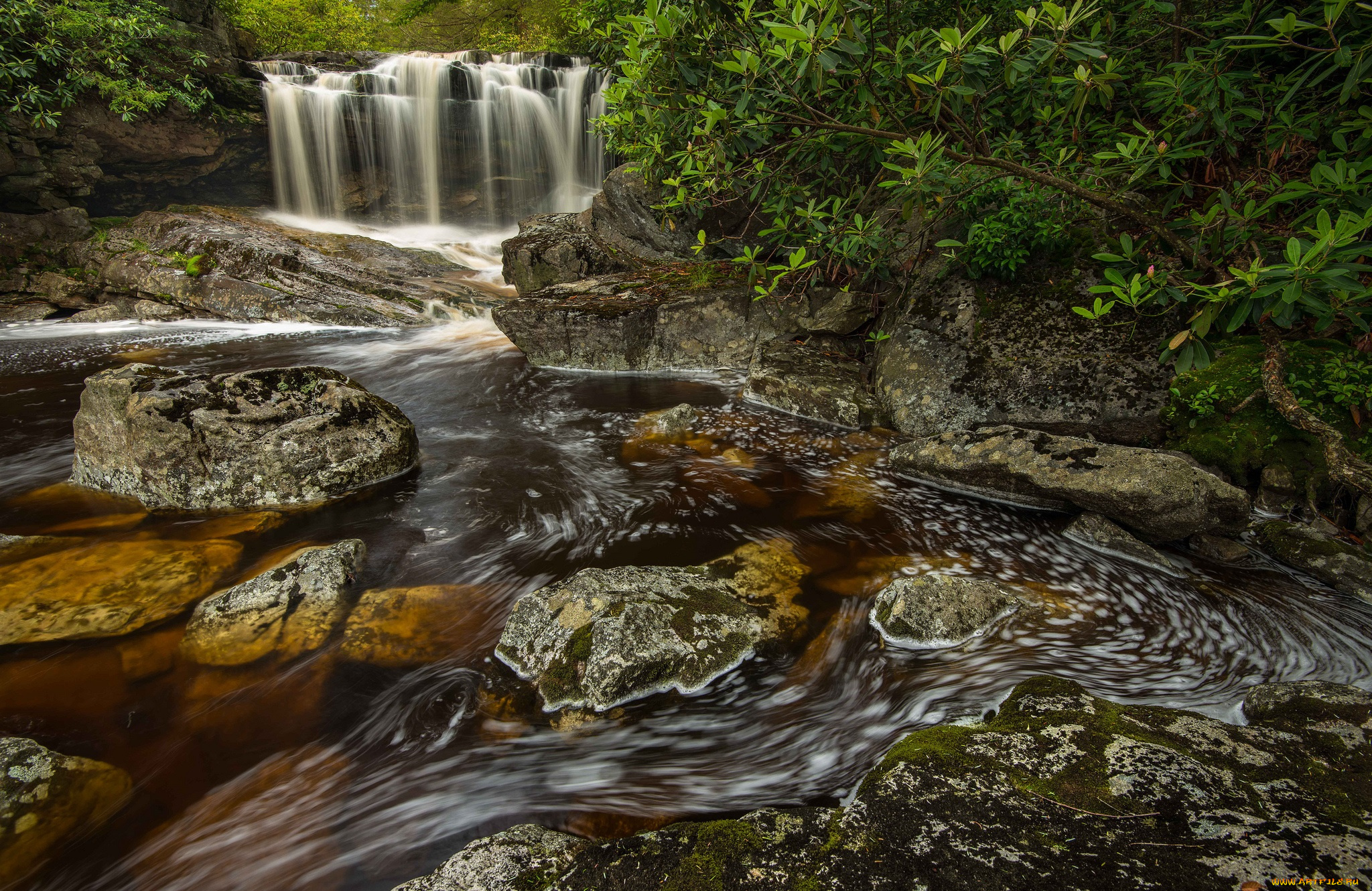 природа, водопады, водопад, река, лес