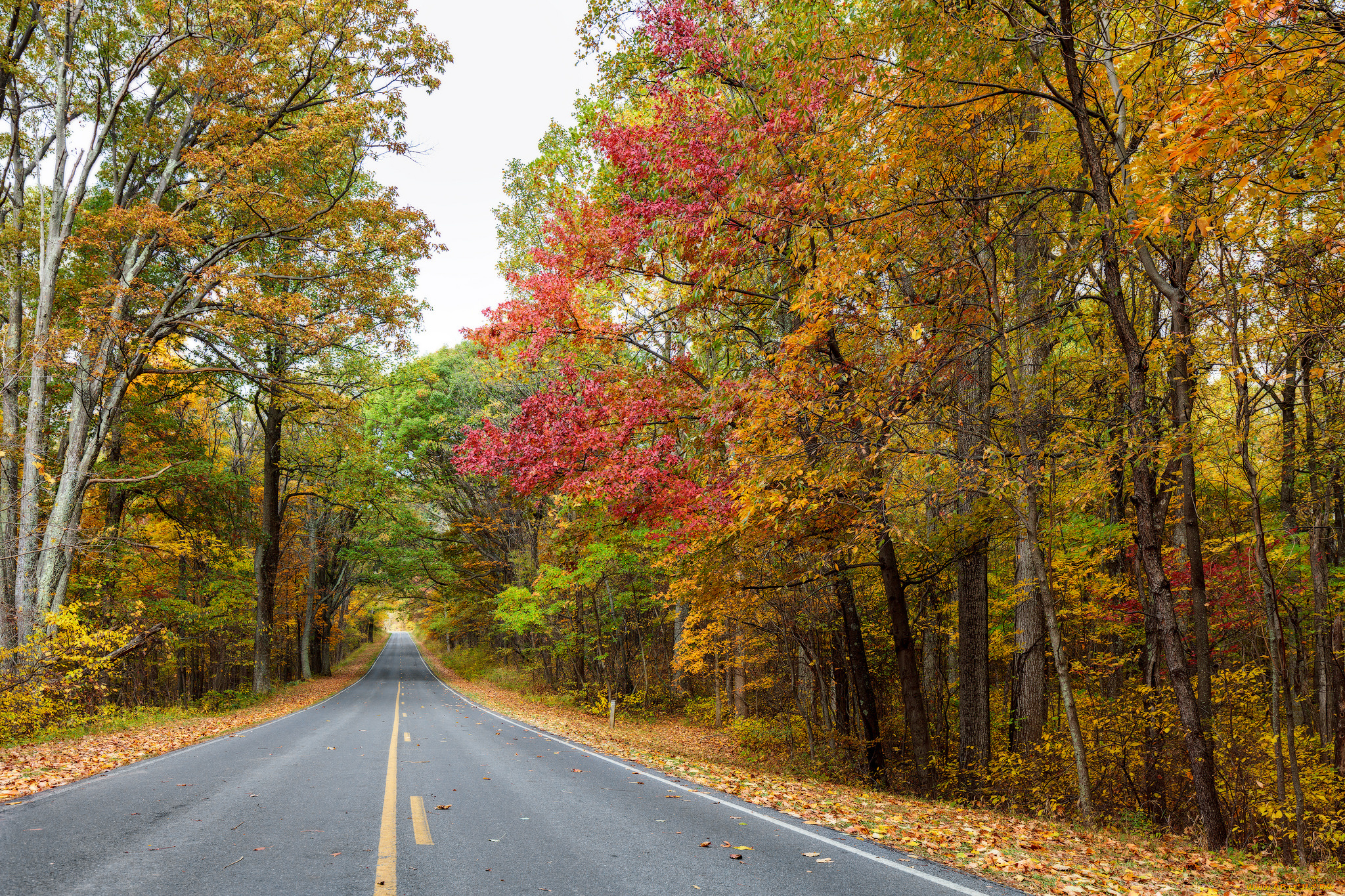 природа, дороги, тракт