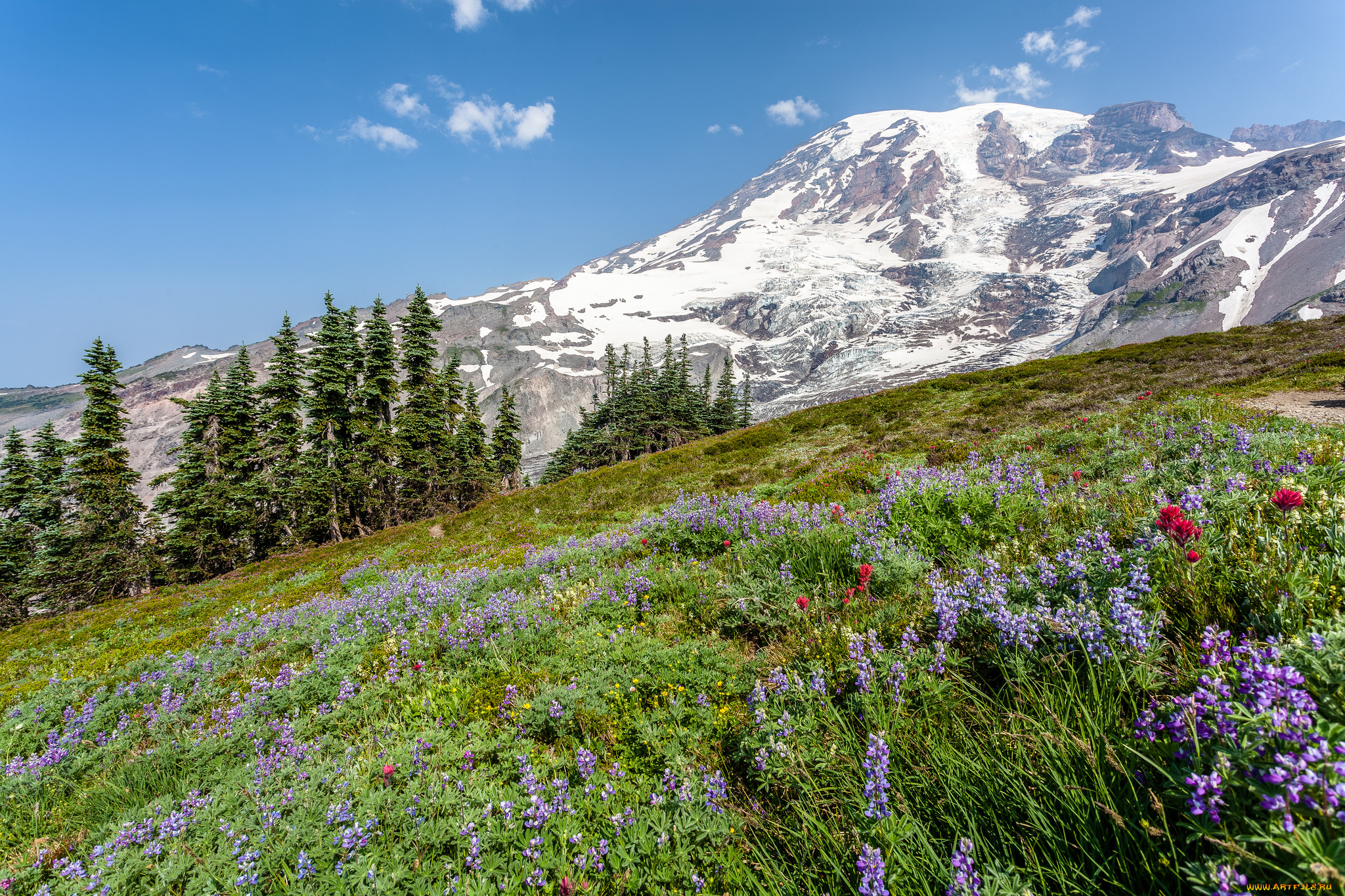 природа, горы, простор