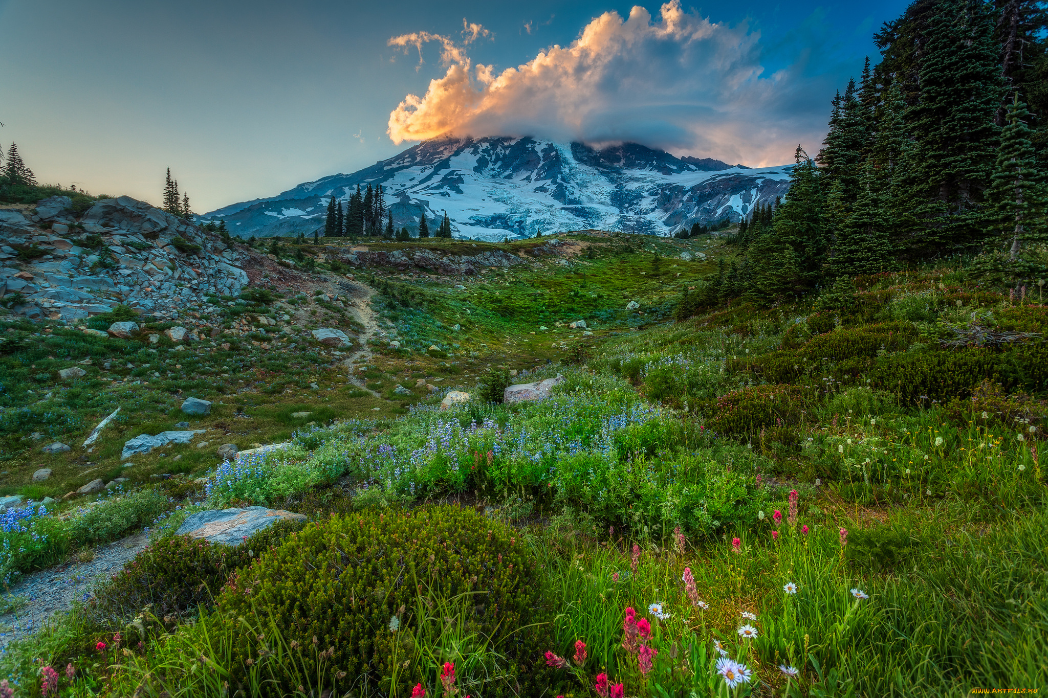 природа, горы, простор