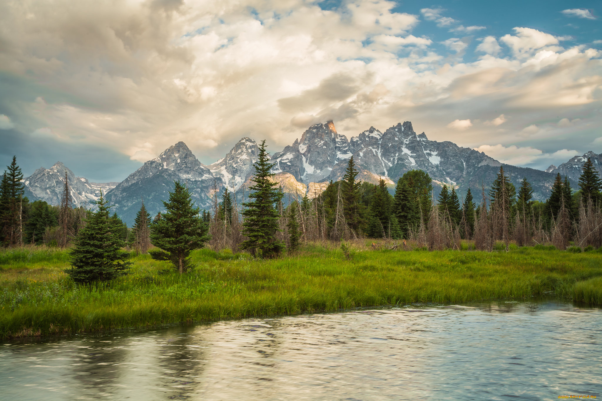 природа, реки, озера, лес, река