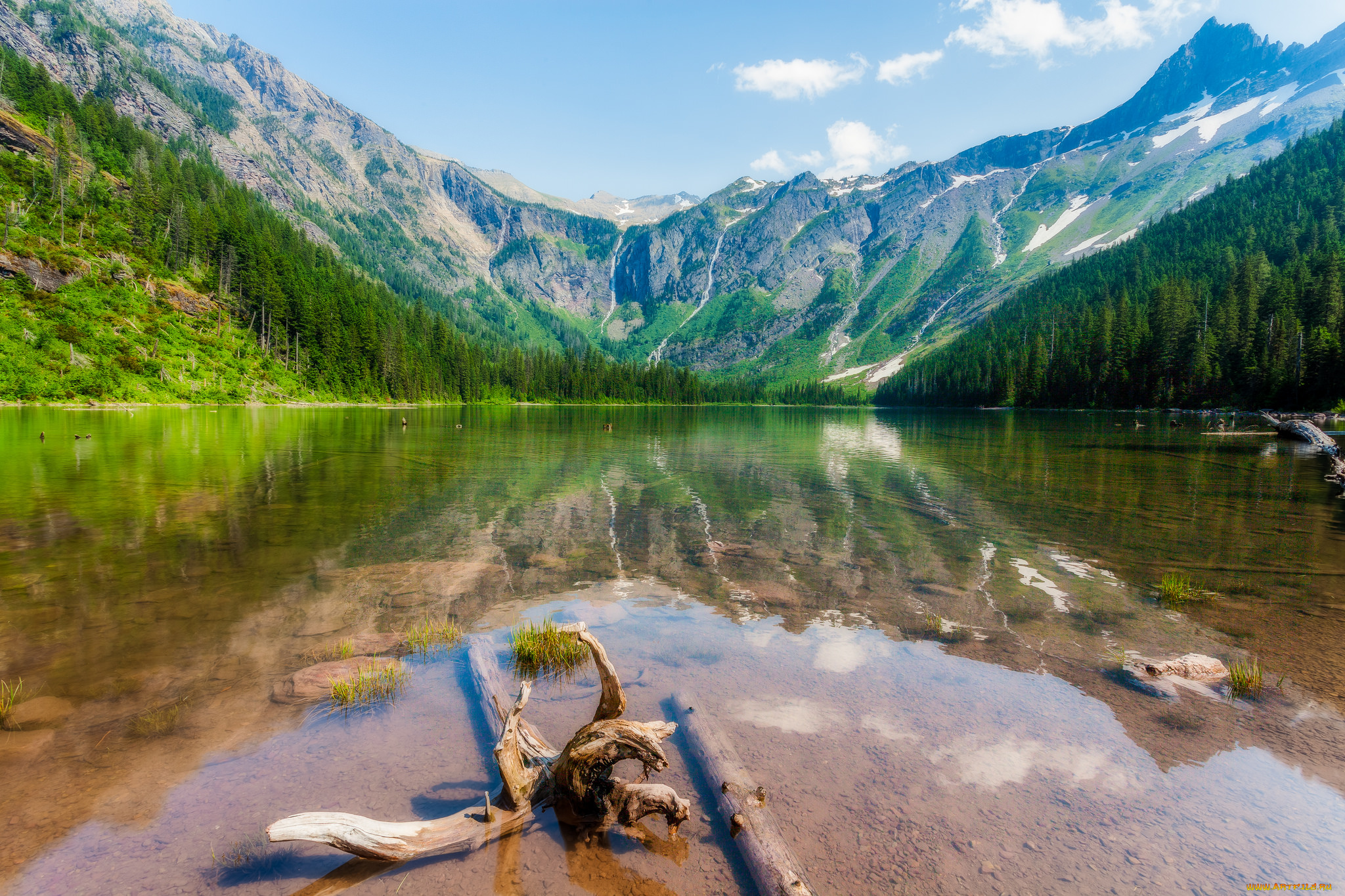 природа, реки, озера, лес, река