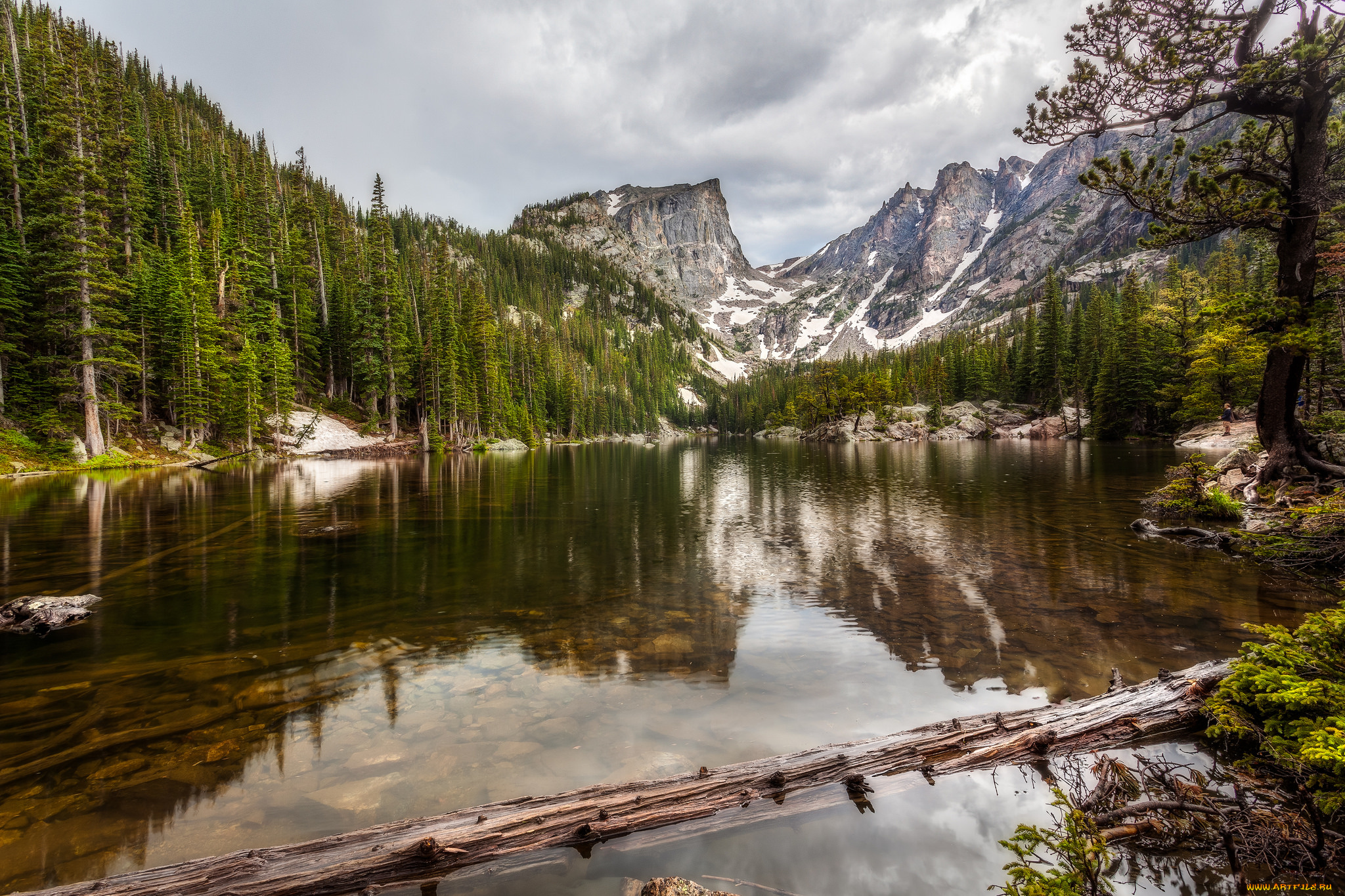 природа, реки, озера, лес, река