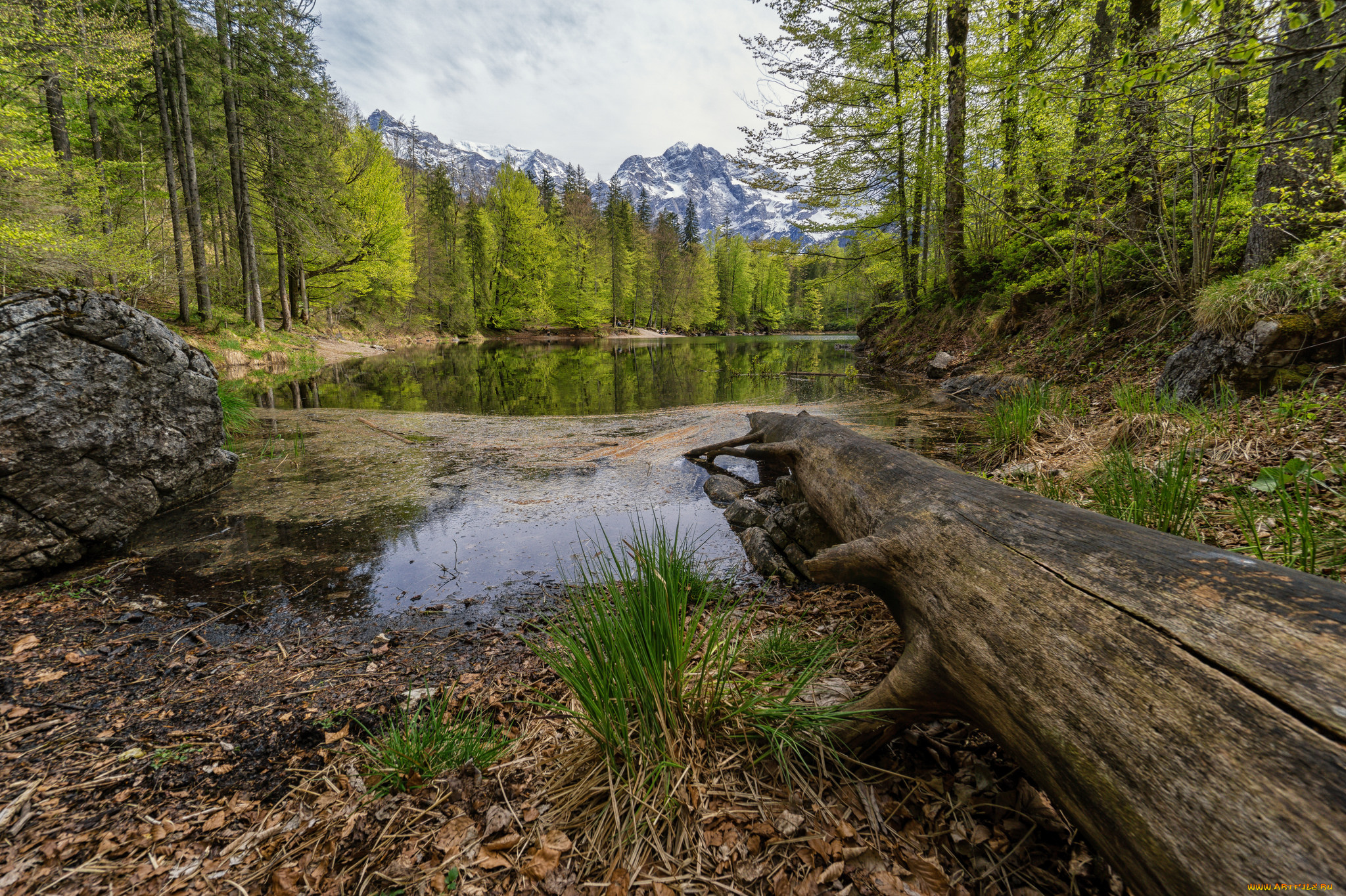 природа, реки, озера, лес, река