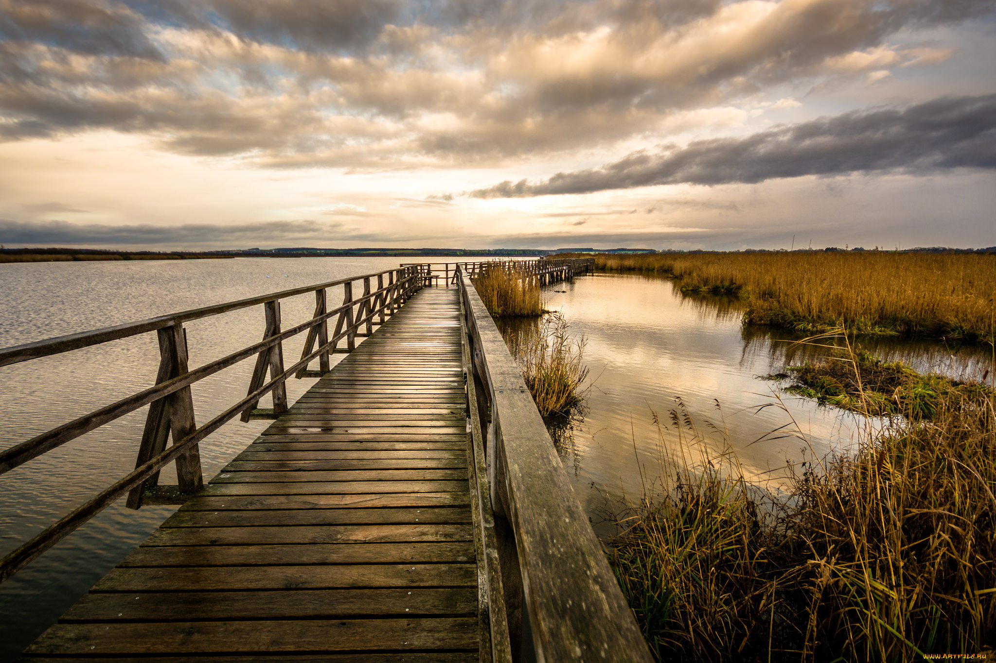 природа, реки, озера, река, лес