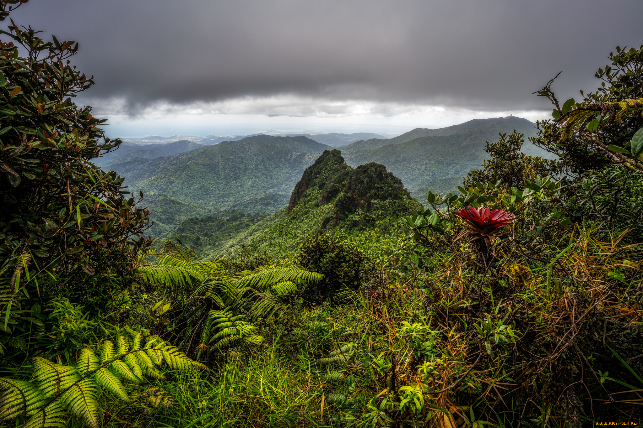 природа, горы, море, берег