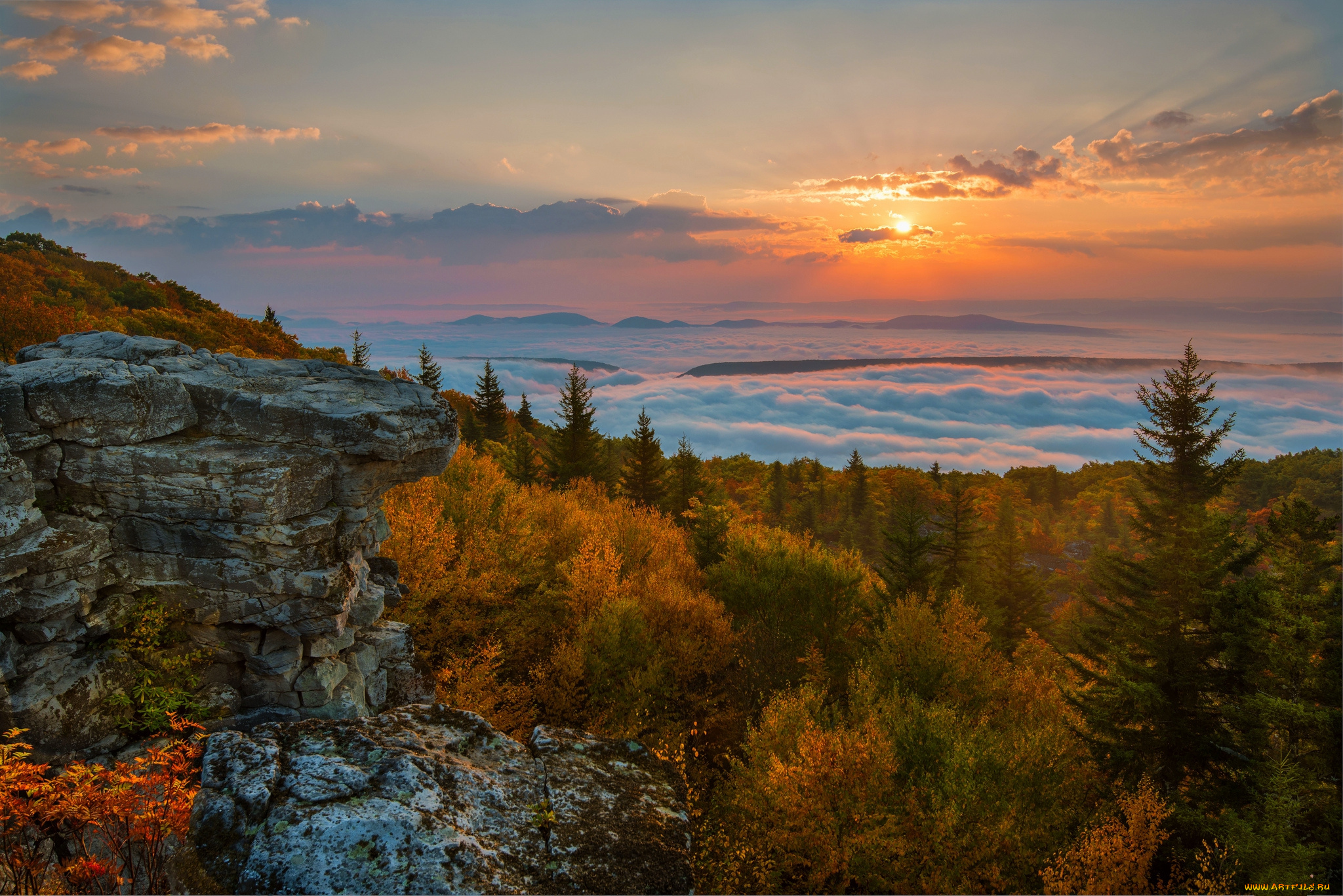 природа, пейзажи, рассвет