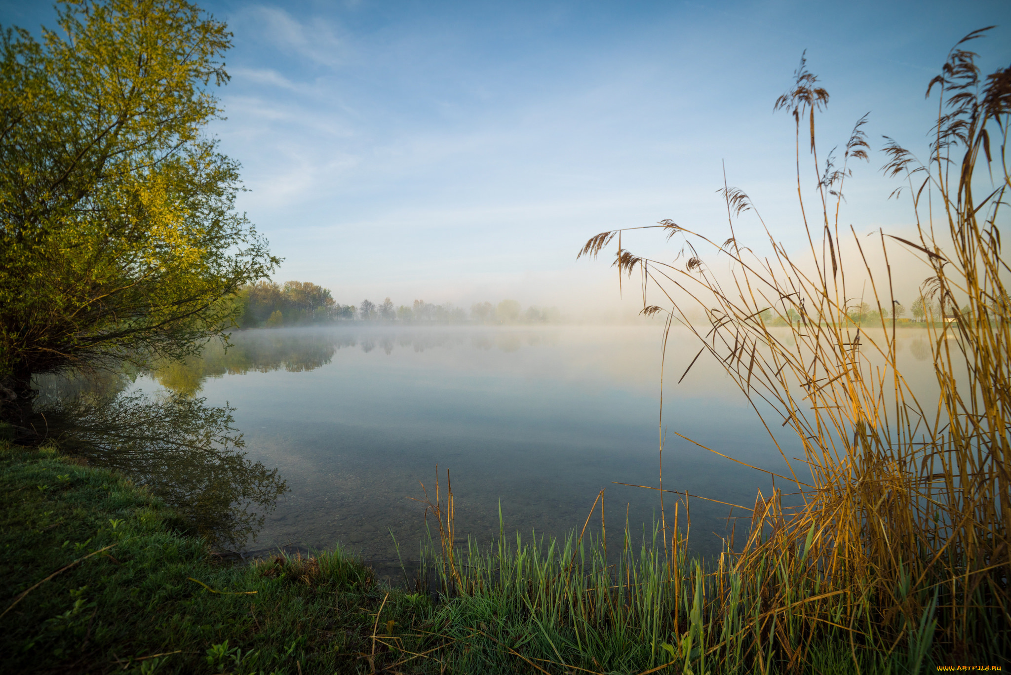 природа, реки, озера, лес, река
