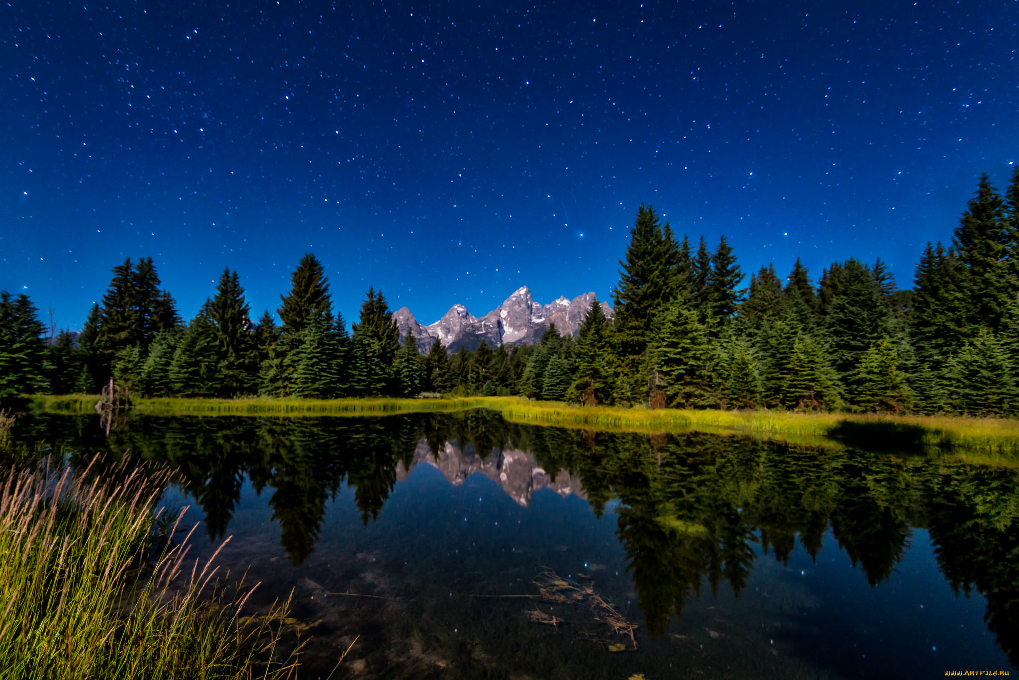 природа, реки, озера, лес, река