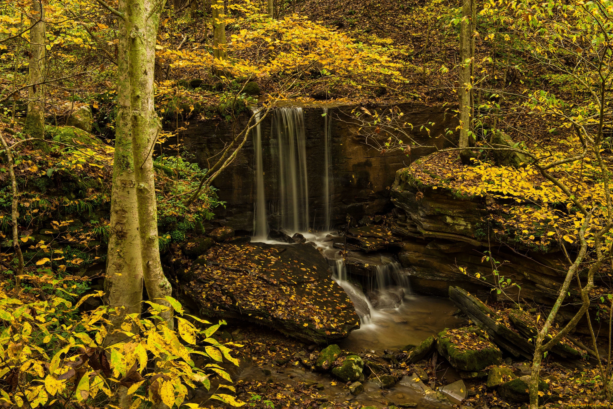природа, водопады, лес, река, водопад