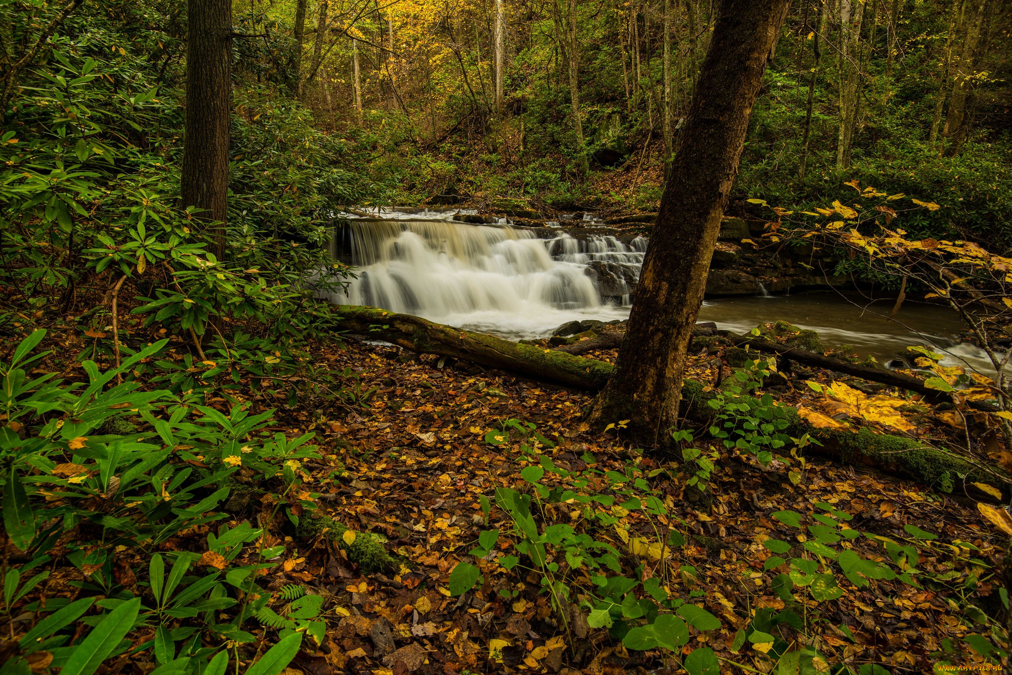 природа, водопады, водопад, река, лес