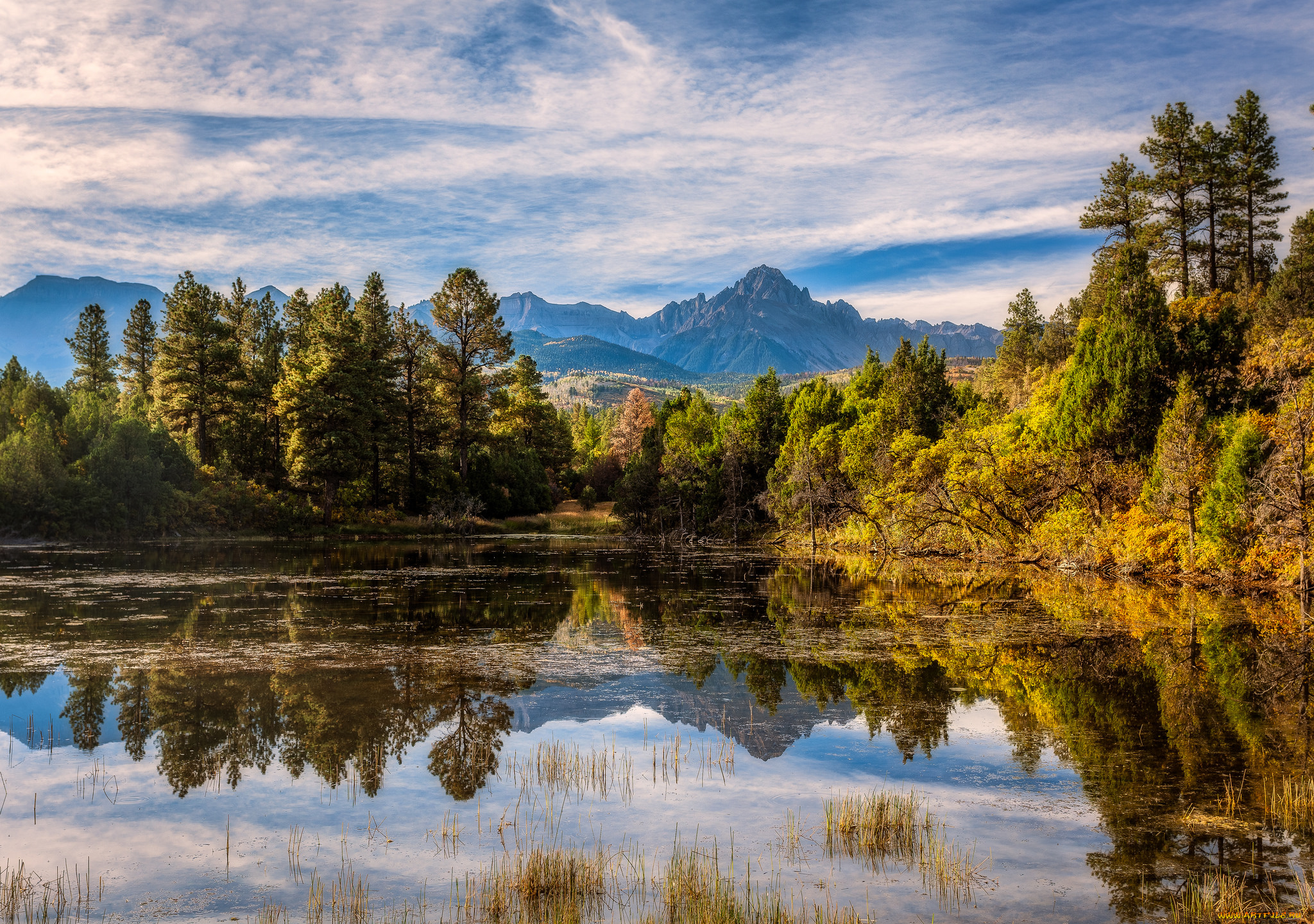 природа, реки, озера, лес, река