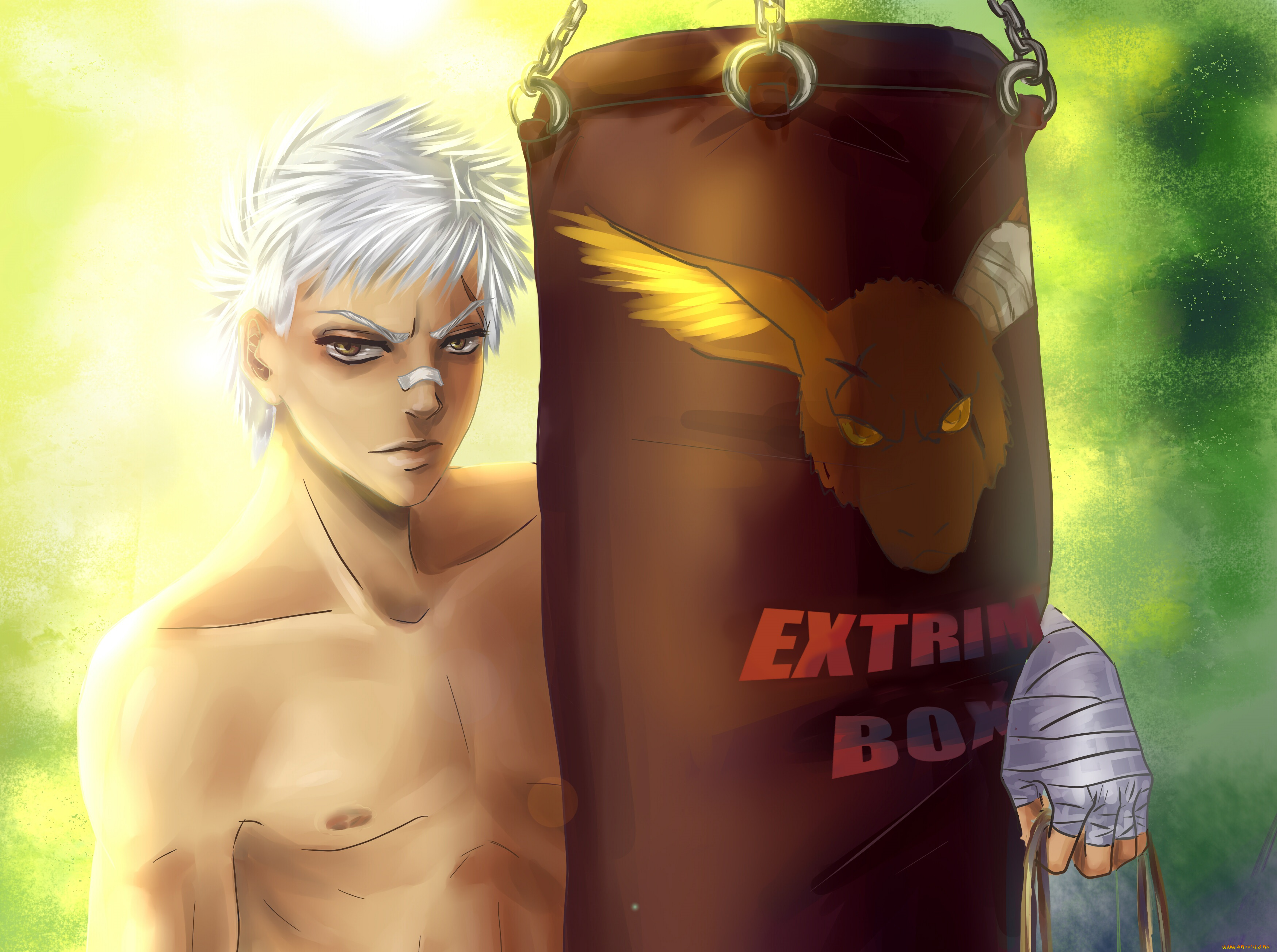 аниме, katekyo, hitman, reborn, рёхей